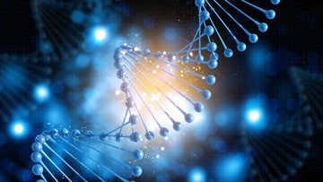 Hasil Tes DNA Tak Terduga Ungkap Tiga Perempuan Inggris Bersaudara Kandung