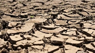 Konfirmasi Global: Fenomena El Nino Dipastikan Aktif, Indonesia Waspadai Potensi Dampak Iklim