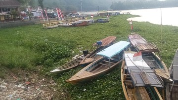 Eceng gondok memenuhi dermaga Jangari (Foto: Istimewa).