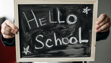 Ilustrasi sekolah. Foto: Pavel Danilyuk/Pexels