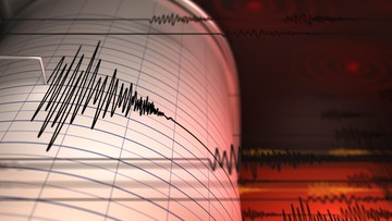 Ilustrasi Gempa. Foto: Getty Images/iStockphoto/Petrovich9