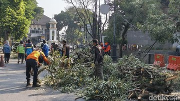 Pohon tumbang di Bandung. (Foto: Rifat Alhamidi/detikJabar)