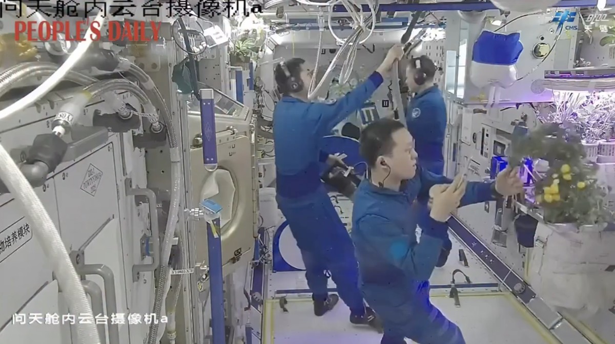 Foto: Tiangong Space Station menjadi saksi awak Shenzhou-21 memetik “tomat luar angkasa” pertama mereka melalui sistem aeroponik, sambil melanjutkan eksperimen dan pelatihan rutin. (Facebook/Embassy of China in Indonesia)