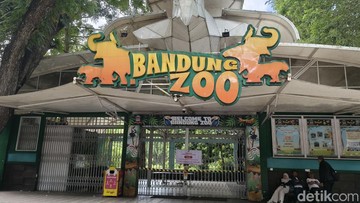 Bandung Zoo (Foto: Rifat Alhamidi/detikJabar)