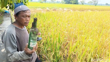 Petani di Jalan Lingkar Utara Kota Tasikmalaya menunjukkan botol miras yang banyak ditemukan di sawah mereka. (Foto: Faizal Amiruddin/detikJabar)