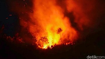 Ilustrasi kebakaran lahan (Foto: Oktavian Balang/detikKalimantan)