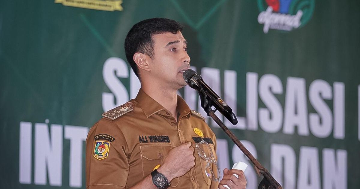 APBDes Terbatas Skala Prioritas Harus Diperkuat, Pinta Wabup Bandung Ali Syakieb