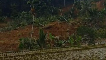 Pascagempa Sukabumi, Sawah Dua Hektare di Salawu Tasikmalaya Tertimbun Longsor