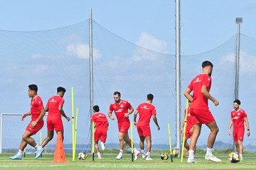 Timnas Indonesia. (Foto: ANTARA FOTO/FIKRI YUSUF)