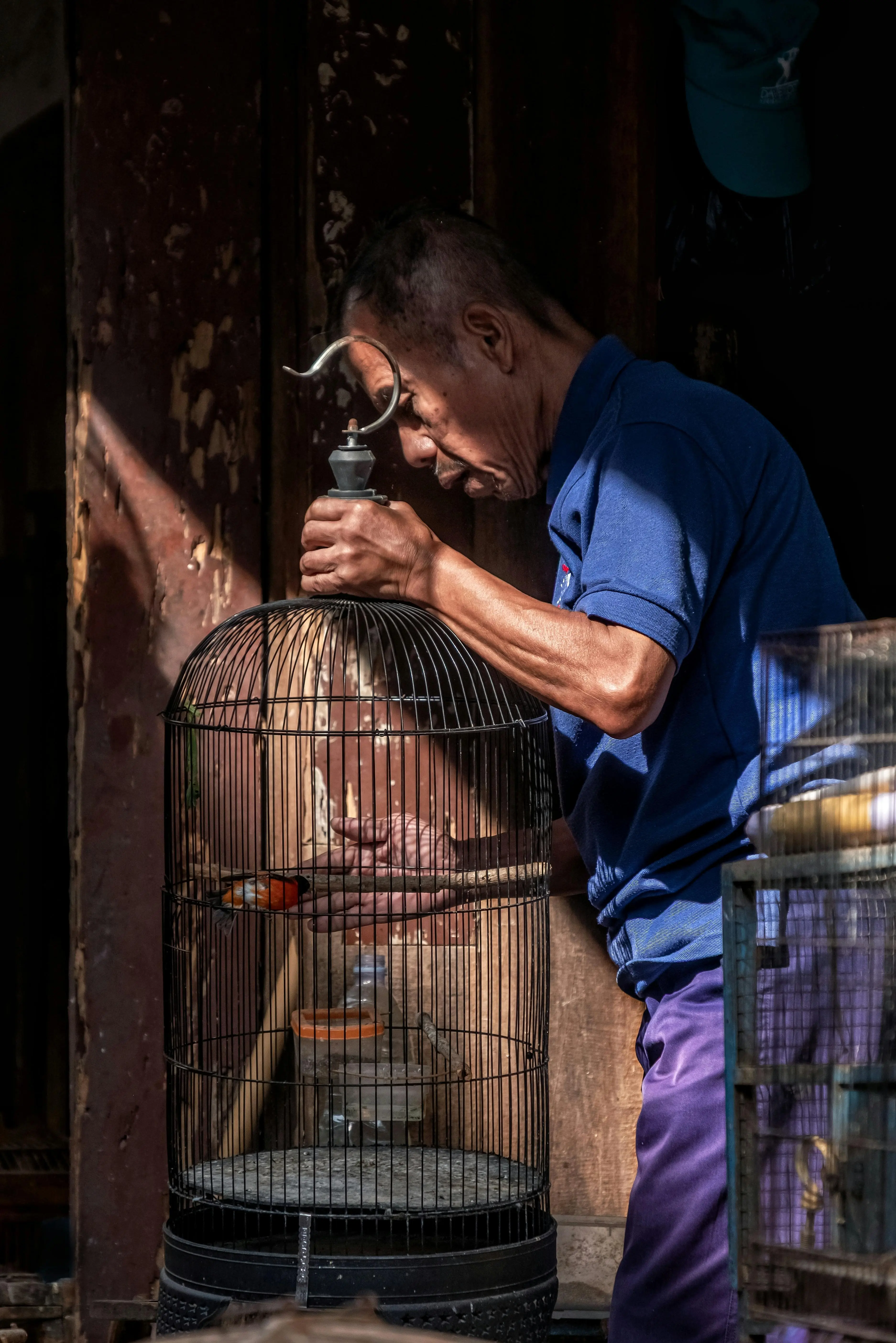 Waspada Bahaya Kesehatan di Balik Debu Kotoran Burung