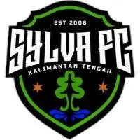 Daftar Klub Kalimantan yang Ikut dalam Gelaran Piala Presiden 2026, Ini Daftarnya