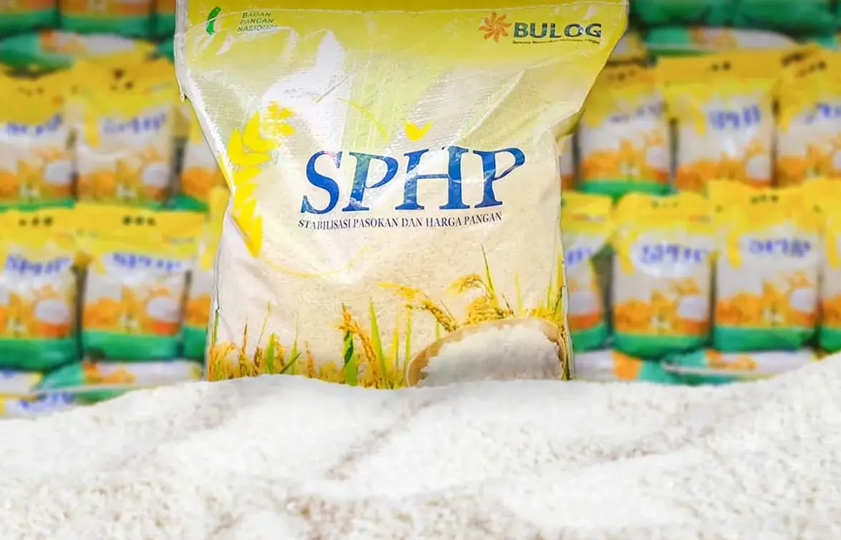 Menjaga Ketahanan Pangan, Bansos Beras 10 Kg Mulai Didistribusikan di Berbagai Daerah