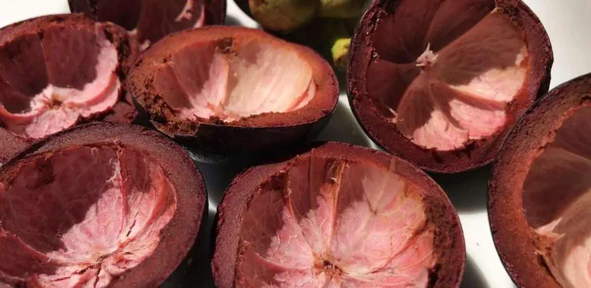 Jangan Dibuang! Ini Manfaat Kulit Manggis untuk Kesehatan Tubuh