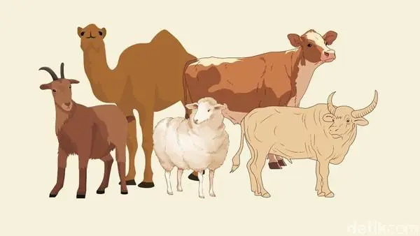 Selain Kambing Nabi Ismail, Inilah Daftar 10 Hewan yang Dikabarkan Memiliki Tempat di Surga