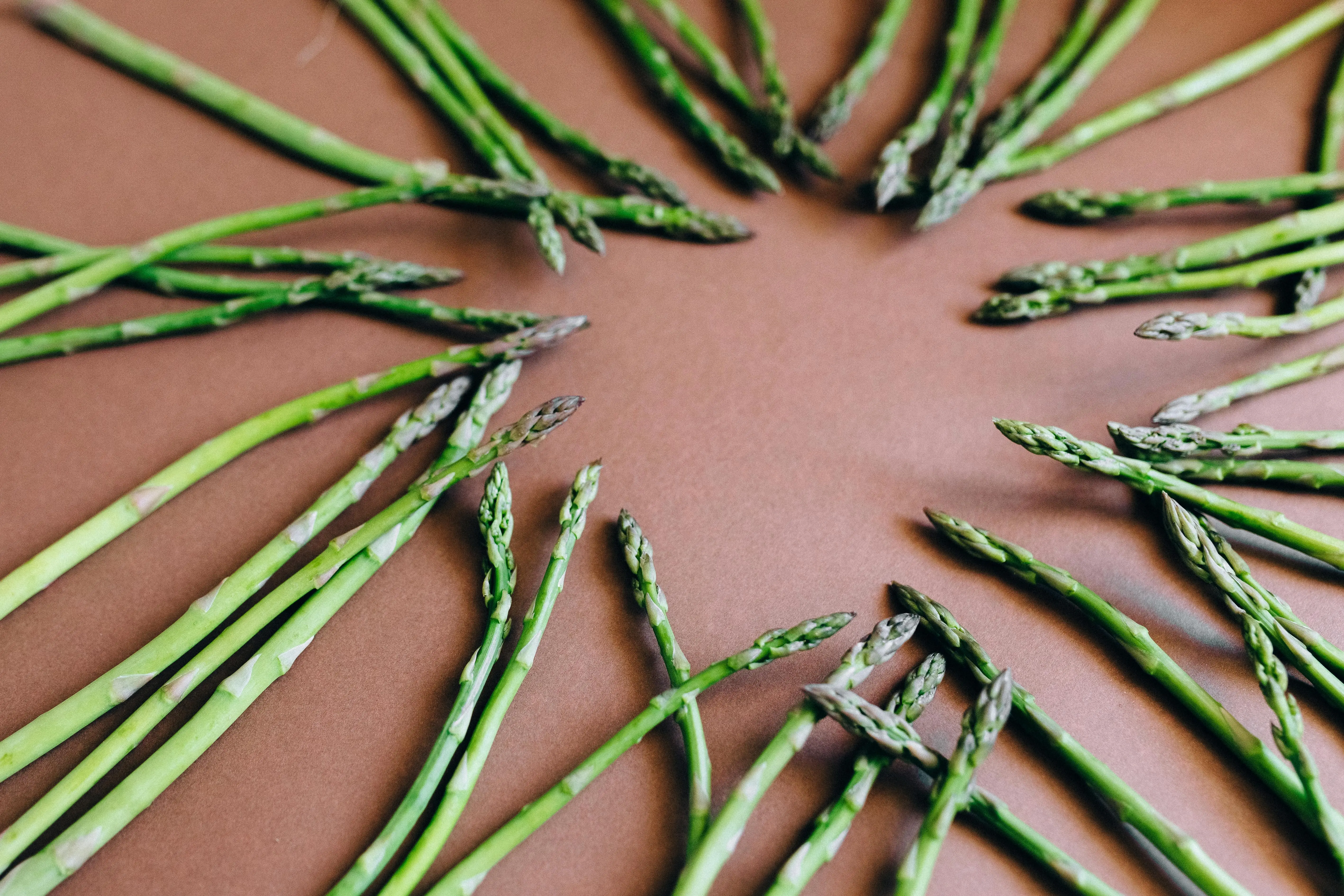 Dilema Pertanian Global: Mengapa Asparagus Terancam oleh Pemanasan Global?