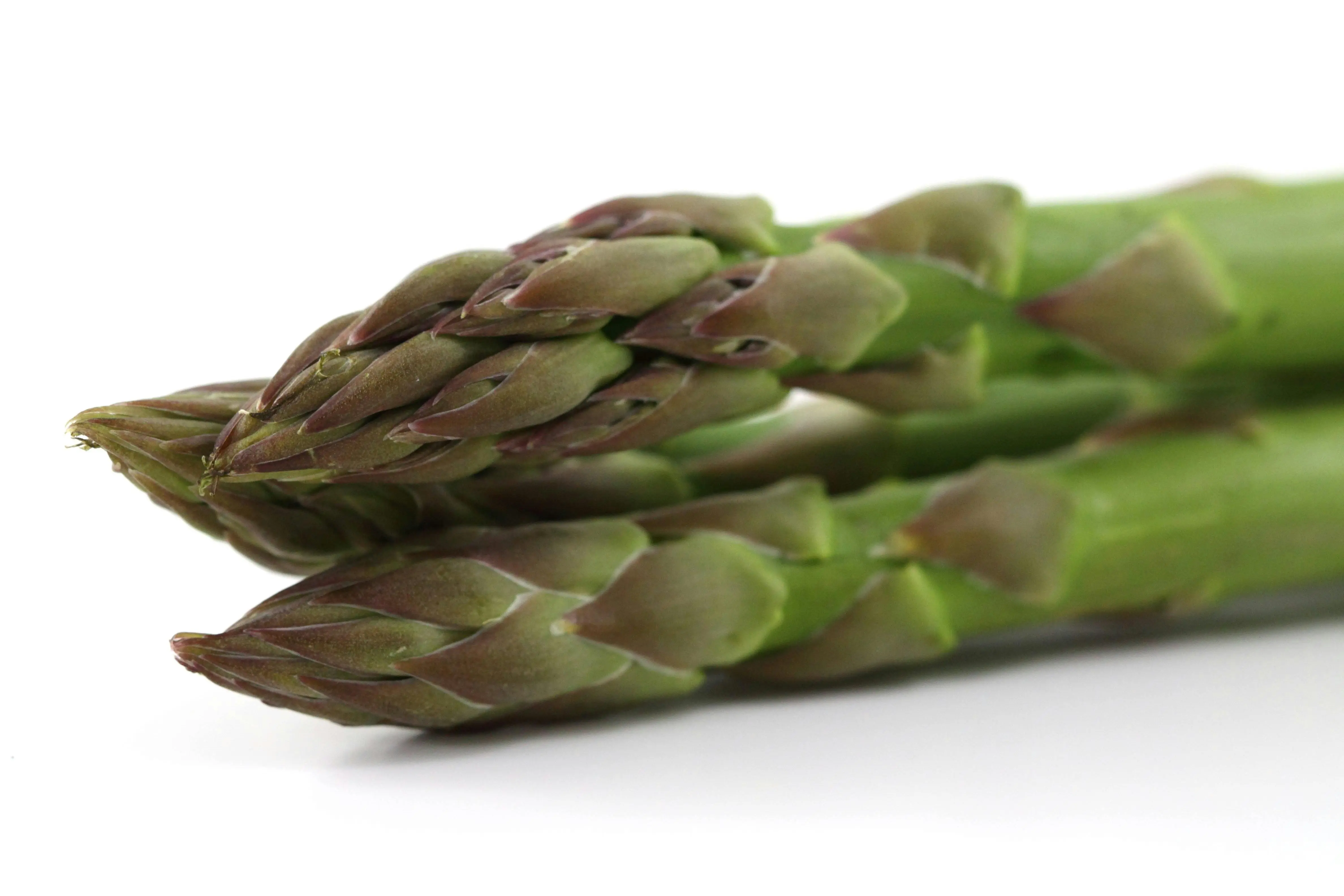 Mengoptimalkan Produksi Asparagus Melalui Pemilihan Varietas Unggul Berbasis Riset
