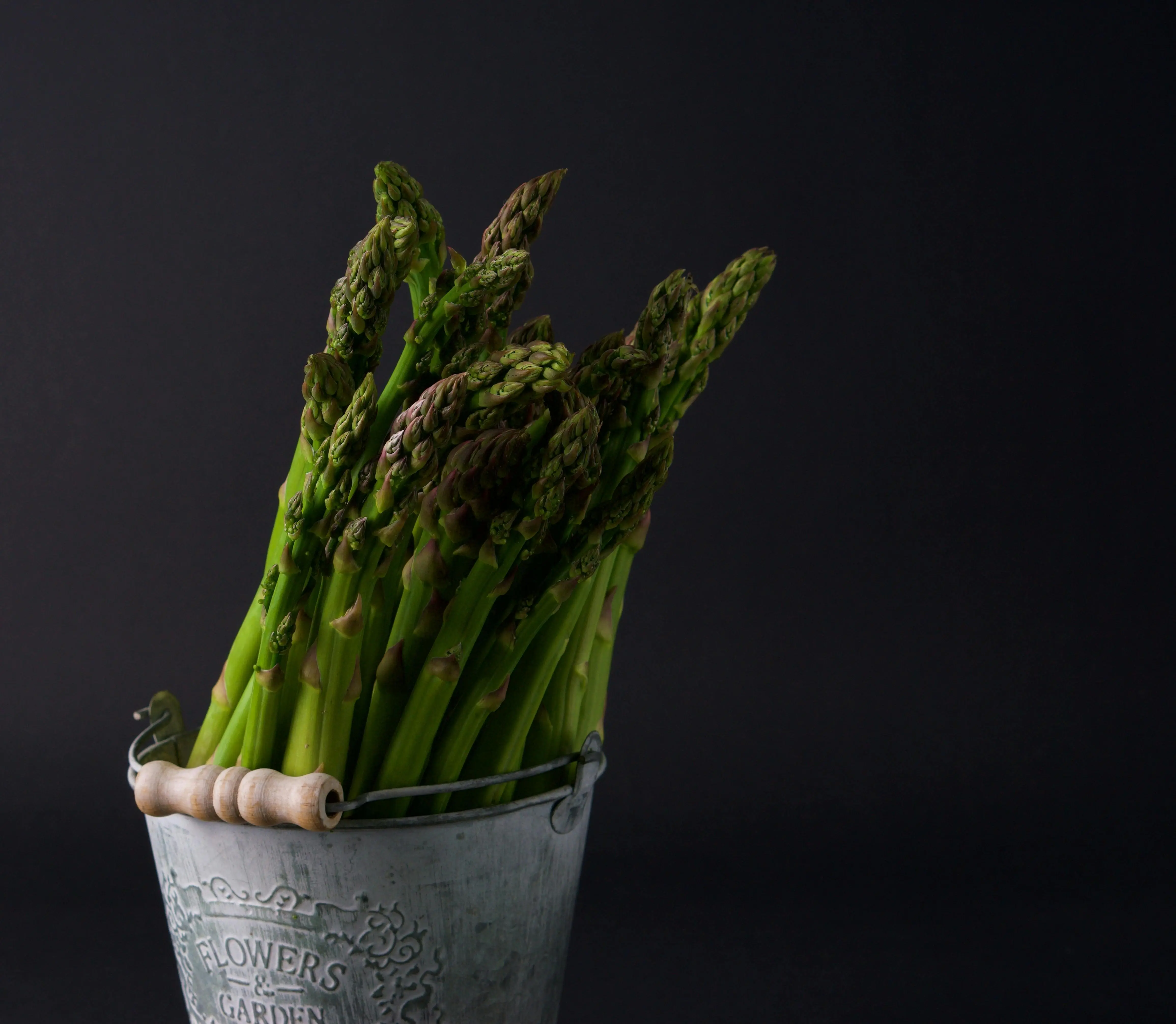 Asparagus: Menilik Potensi Sang Sayuran Abadi sebagai Pilar Pangan Berkelanjutan