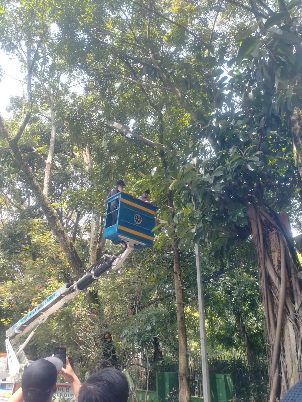 Waspada Cuaca Ekstrem April 2026: Pemkot Bandung Perketat Mitigasi Pohon Tumbang