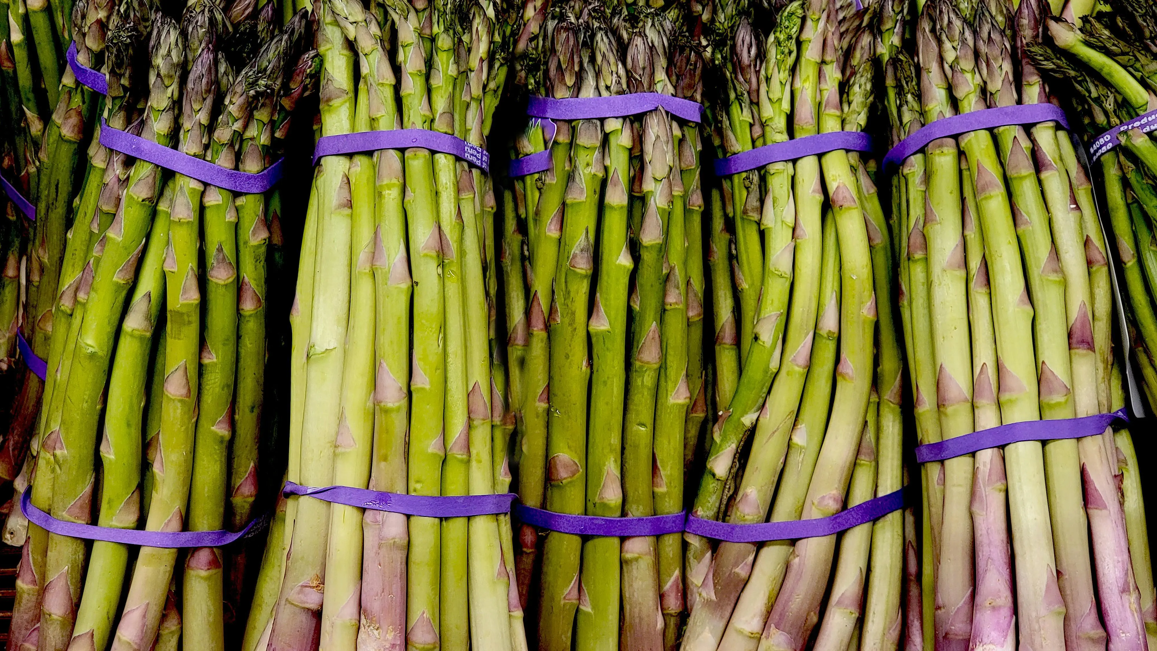 Rahasia Sukses Budidaya Asparagus: Cara Mengatasi Hama Tanpa Merusak Kualitas