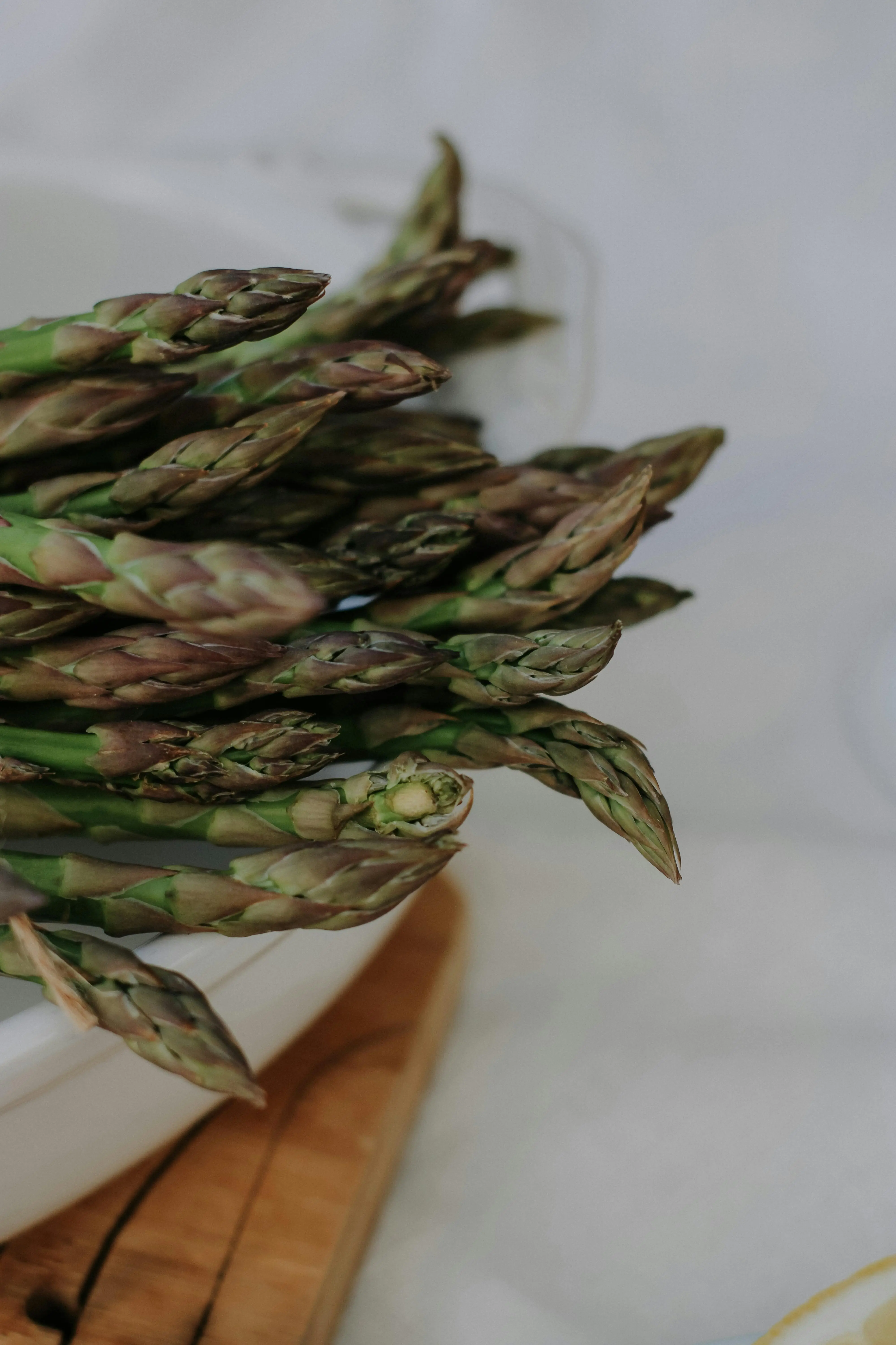 Memaksimalkan Potensi Asparagus Melalui Manajemen Irigasi yang Presisi