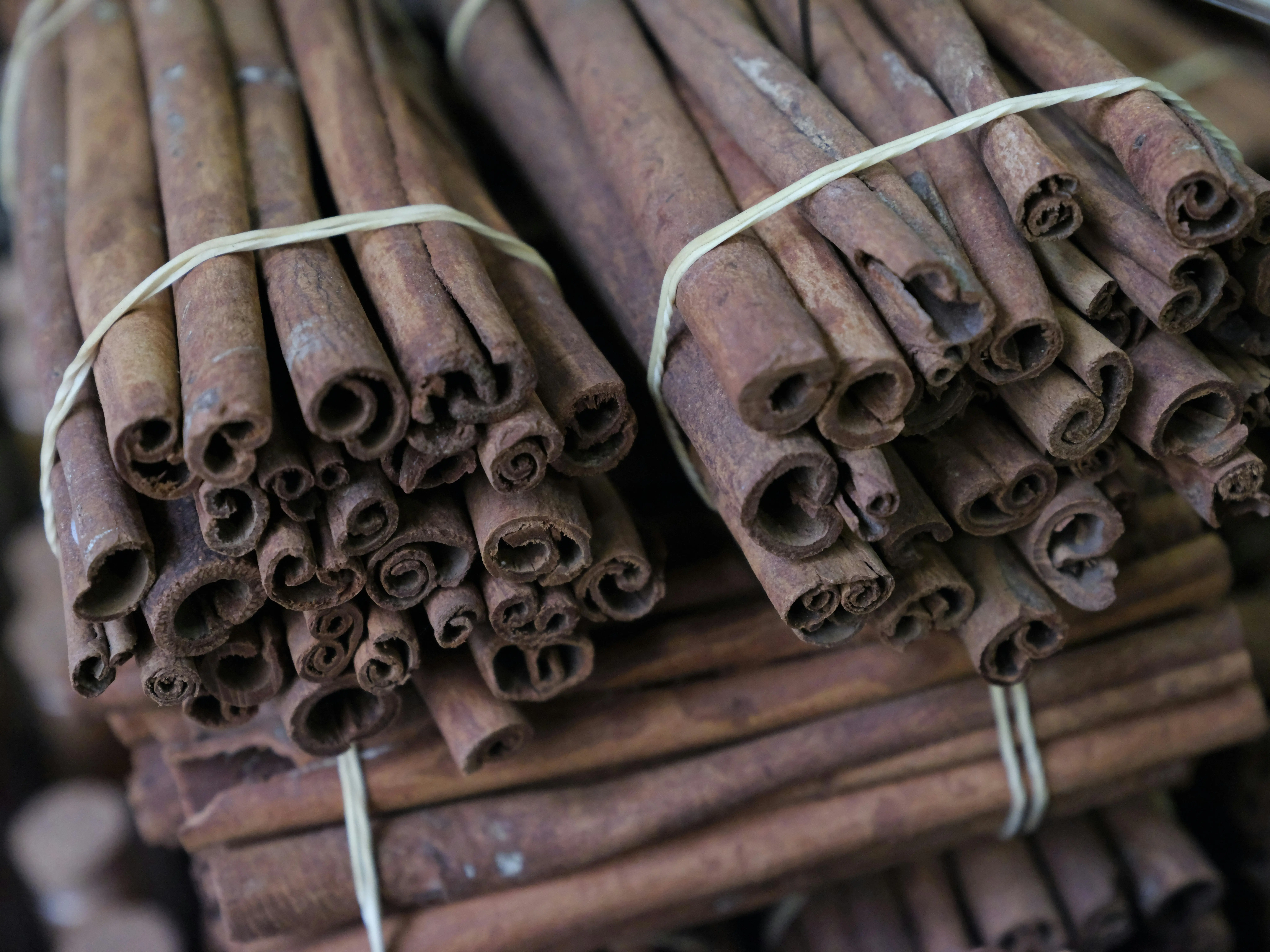 Kayu Manis: Transformasi Rempah Tradisional Menjadi Komoditas Strategis Global