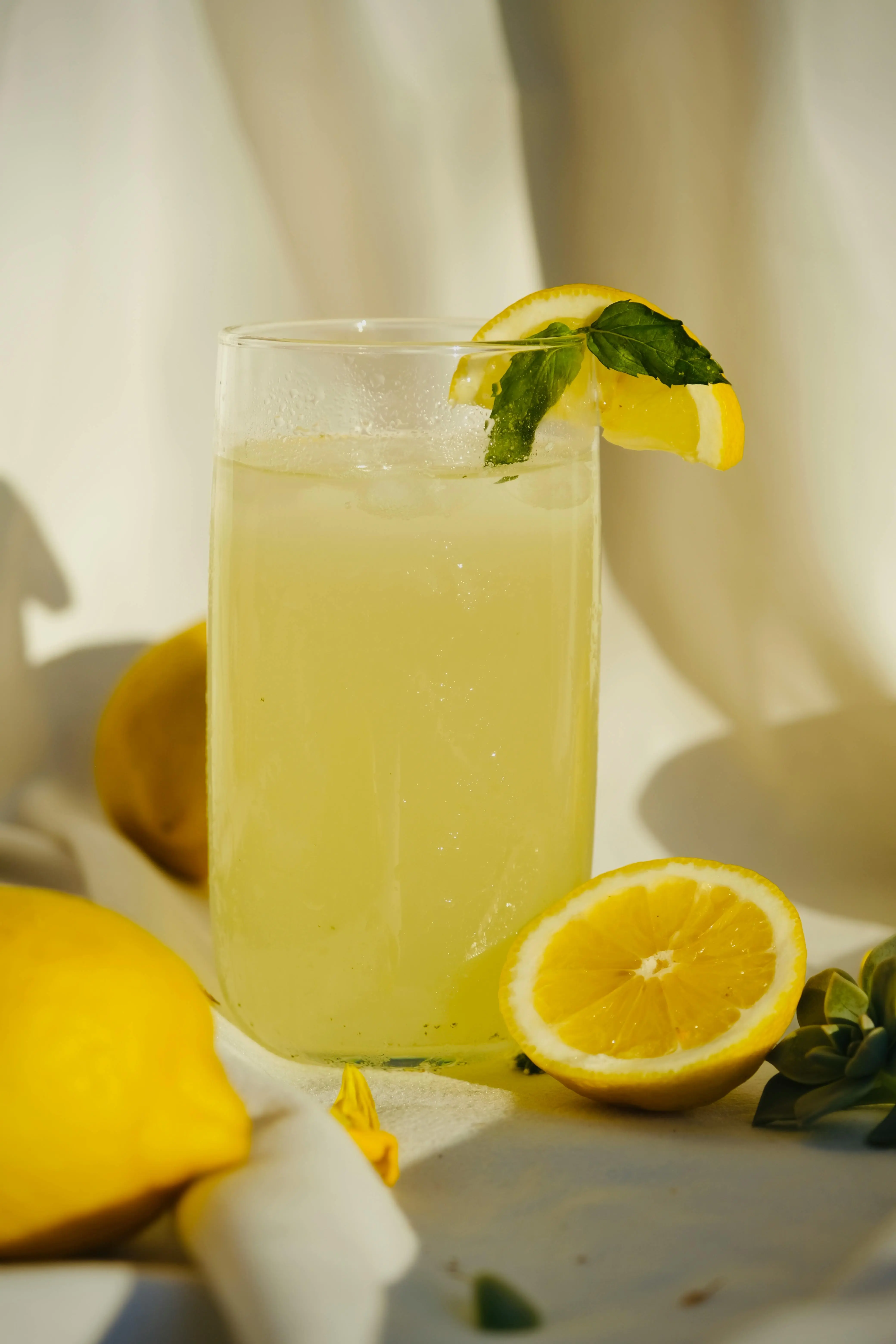 Menghadirkan Kesegaran Lemonade Klasik di Dapur Anda: Panduan Lengkap dan Tips Rahasia