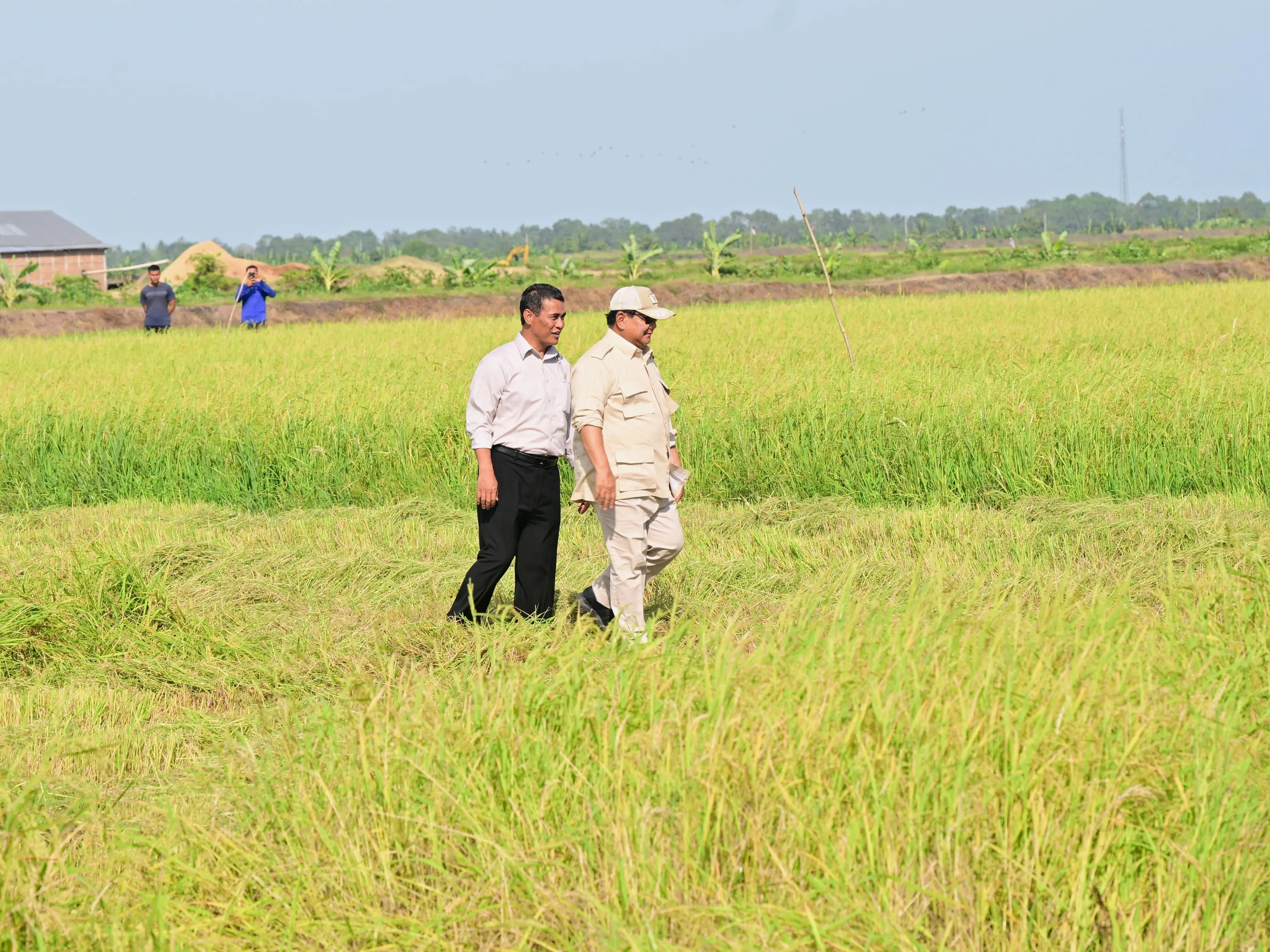 Stok Pangan Nasional 2026 Tembus Rekor Tertinggi, Mentan Amran: Indonesia Siap Hadapi El Nino