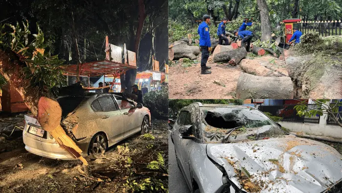 Hujan Angin Kencang di Bandung, Pengemudi Mobil Tewas Tertimpa Pohon Tumbang