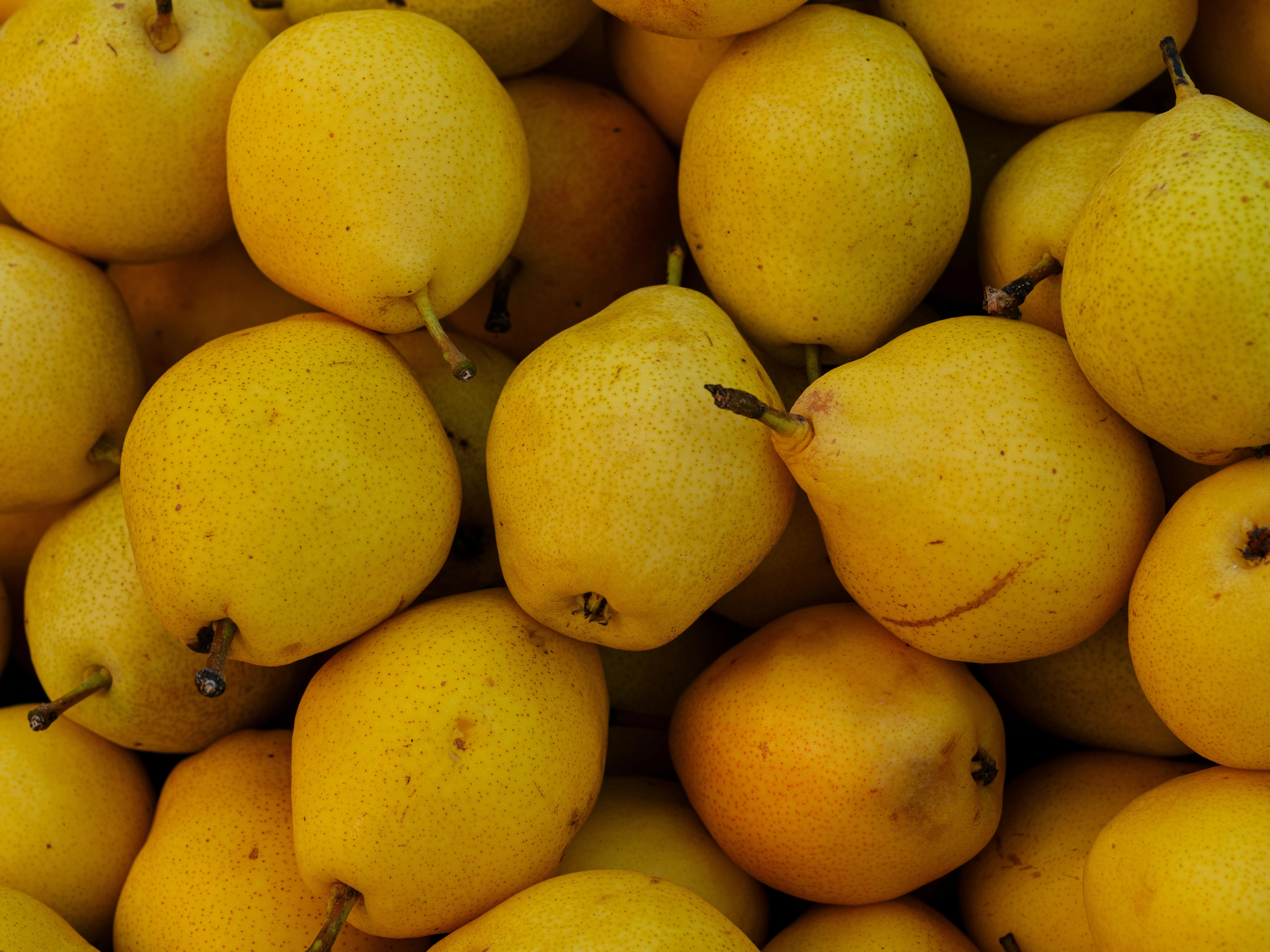 Nutrisi Tersembunyi dalam Buah Pir: Senjata Alami Melawan Penurunan Kognitif dan Alzheimer