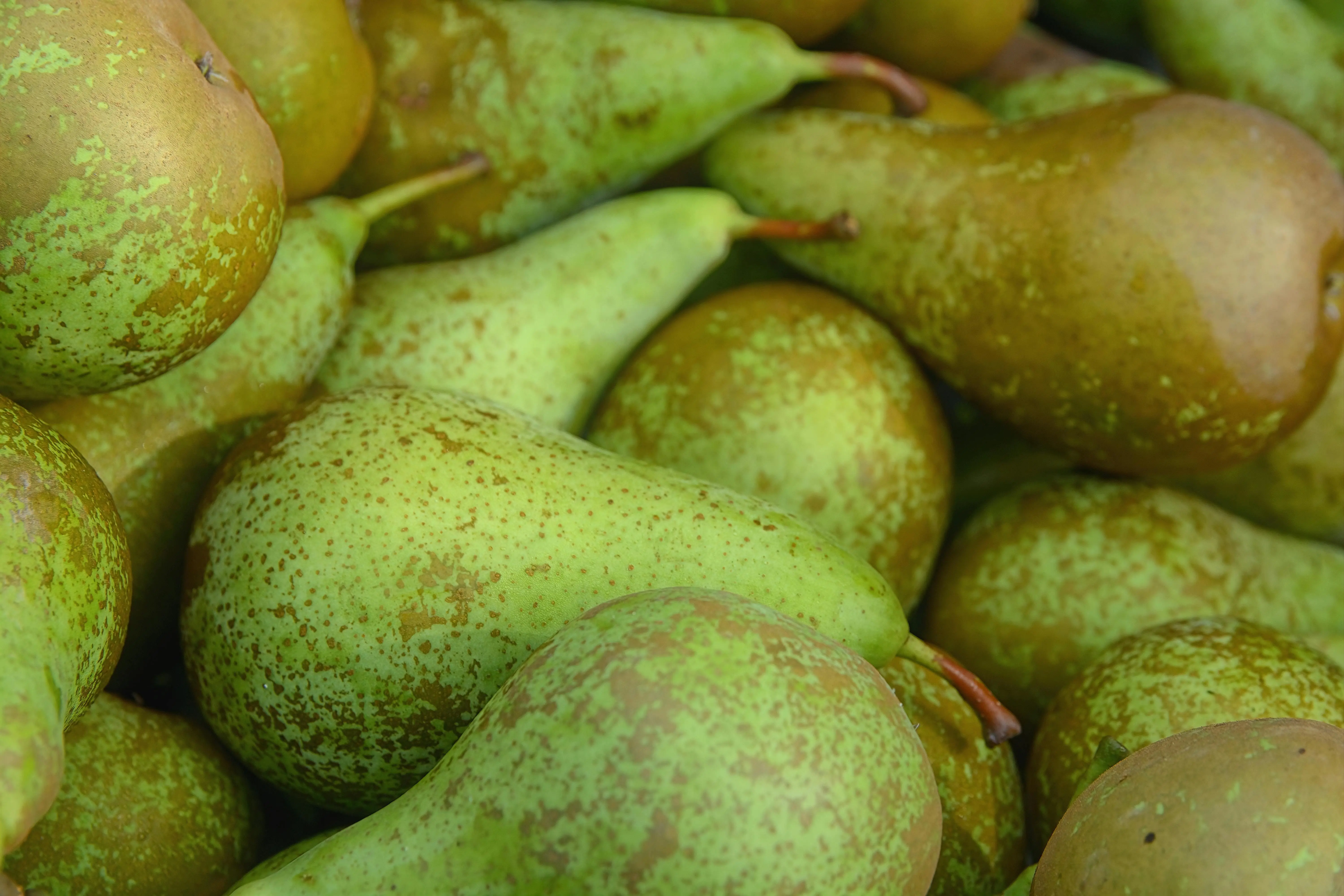 Nutrisi Esensial dalam Buah Pir: Pilihan Cerdas untuk Mendukung Kesehatan Lansia