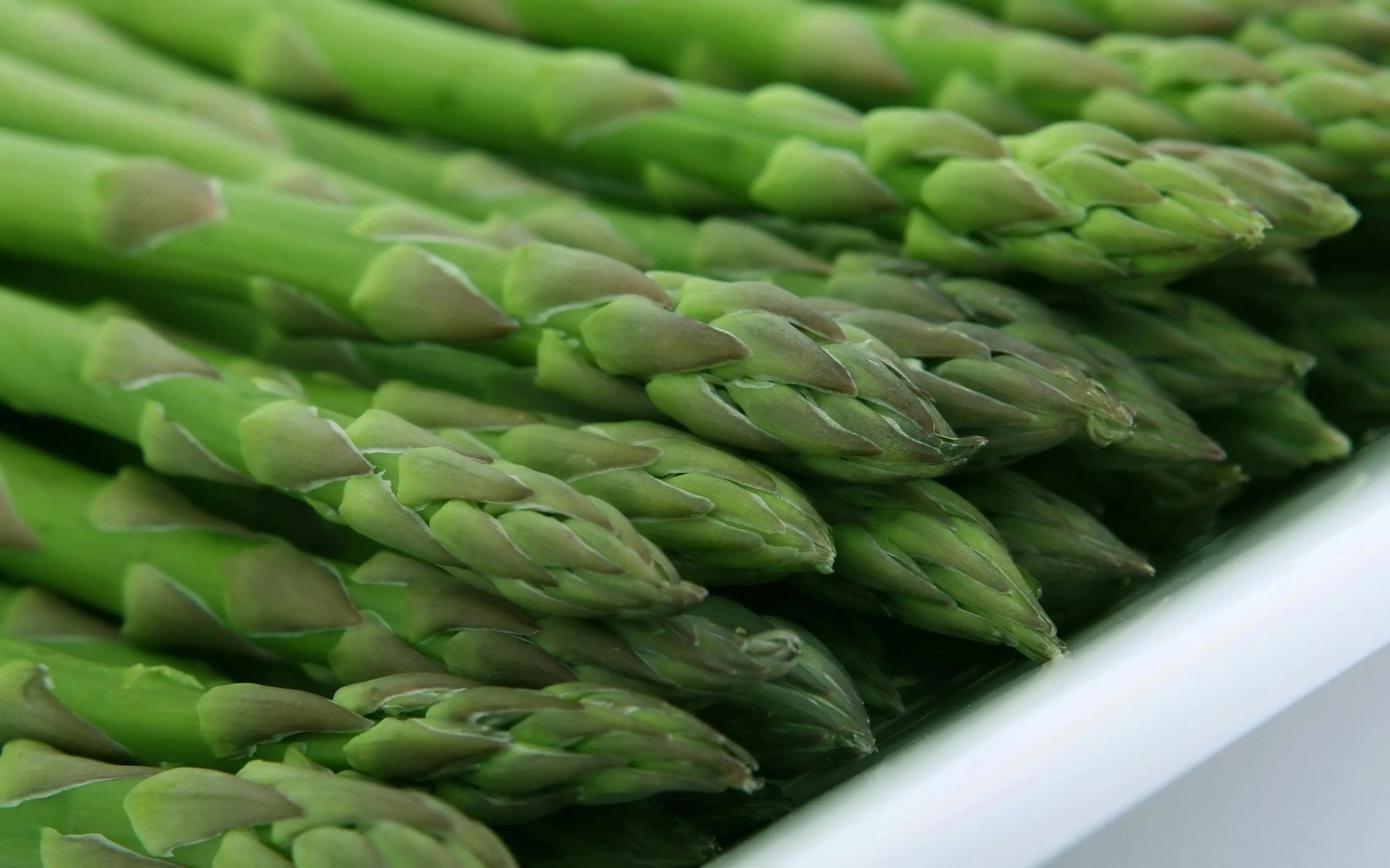 Rahasia di Balik Eksklusivitas Asparagus: Mengapa Selalu Ada di Menu Fine Dining?