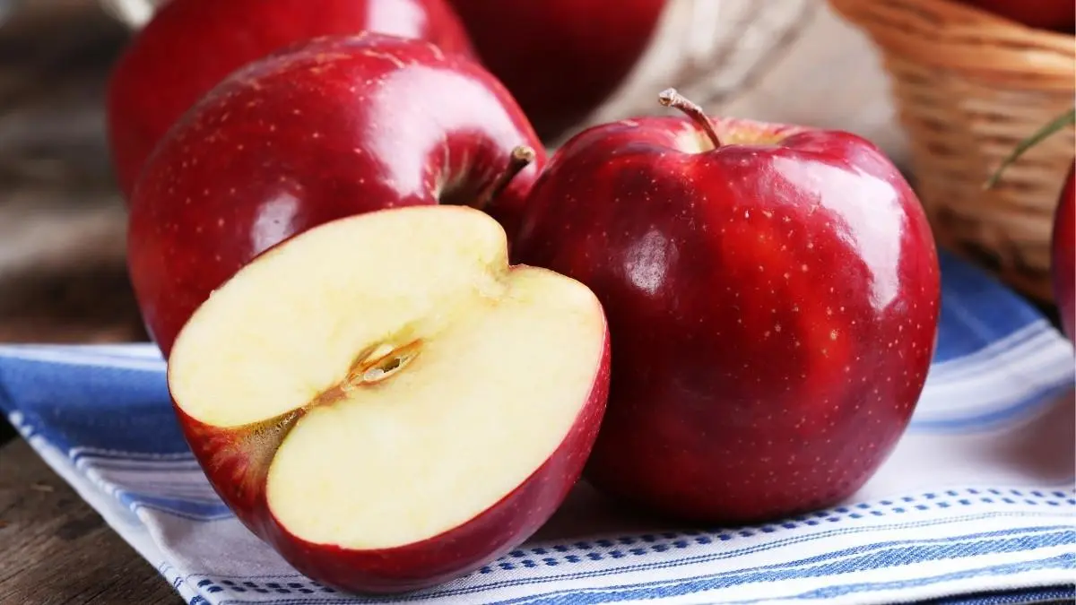Daftar Buah Penghancur Lemak: Solusi Alami Turunkan Berat Badan Setelah Makan Enak.