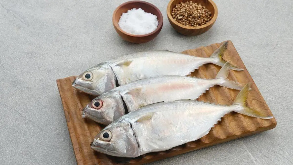 5 Jenis Ikan Laut dengan Kandungan Merkuri Terendah, Aman Dikonsumsi Setiap Hari!
