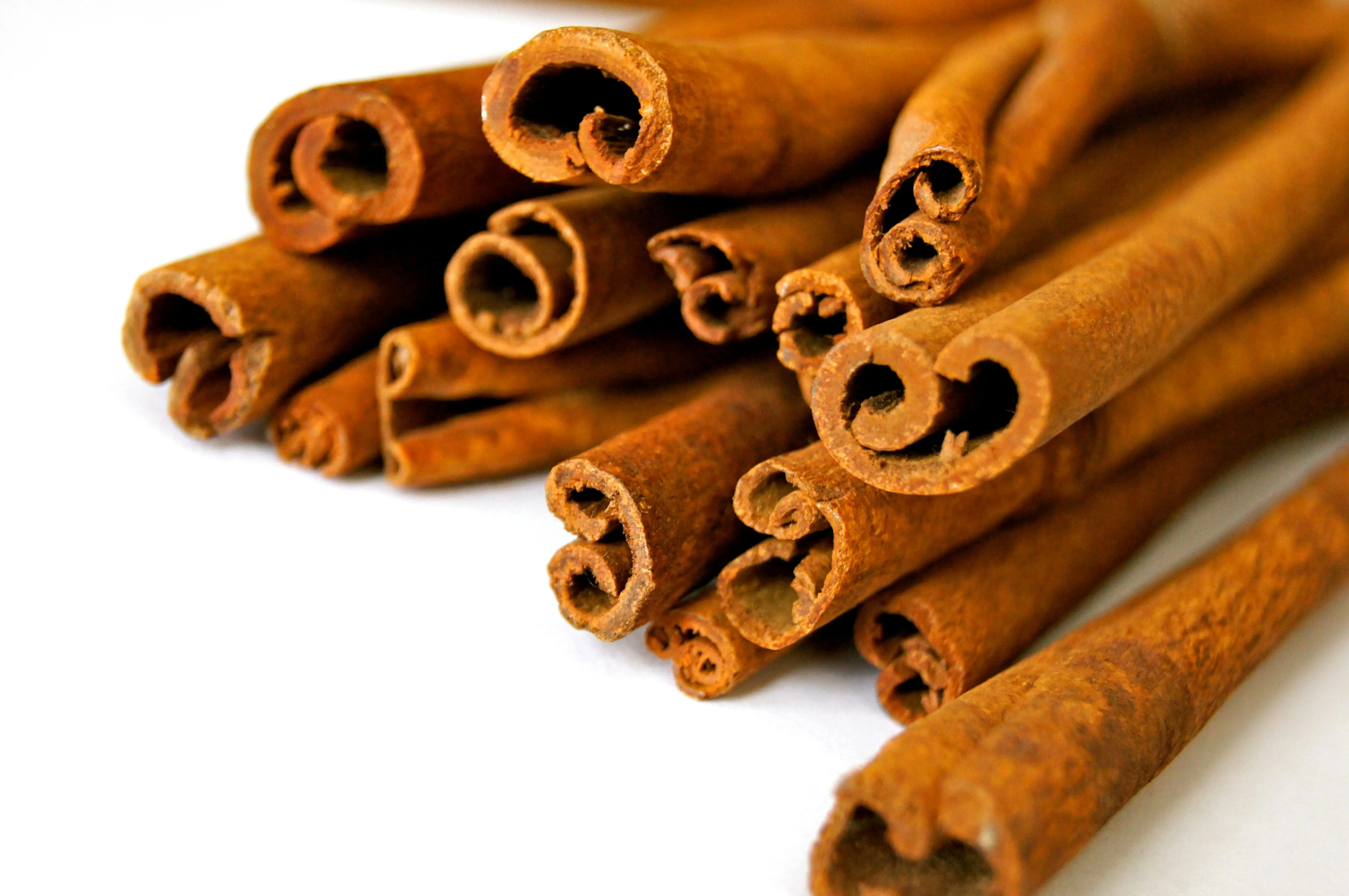 Kayu Manis: Rempah Aromatik dengan Sejarah Panjang dan Eksistensi Botani yang Unik