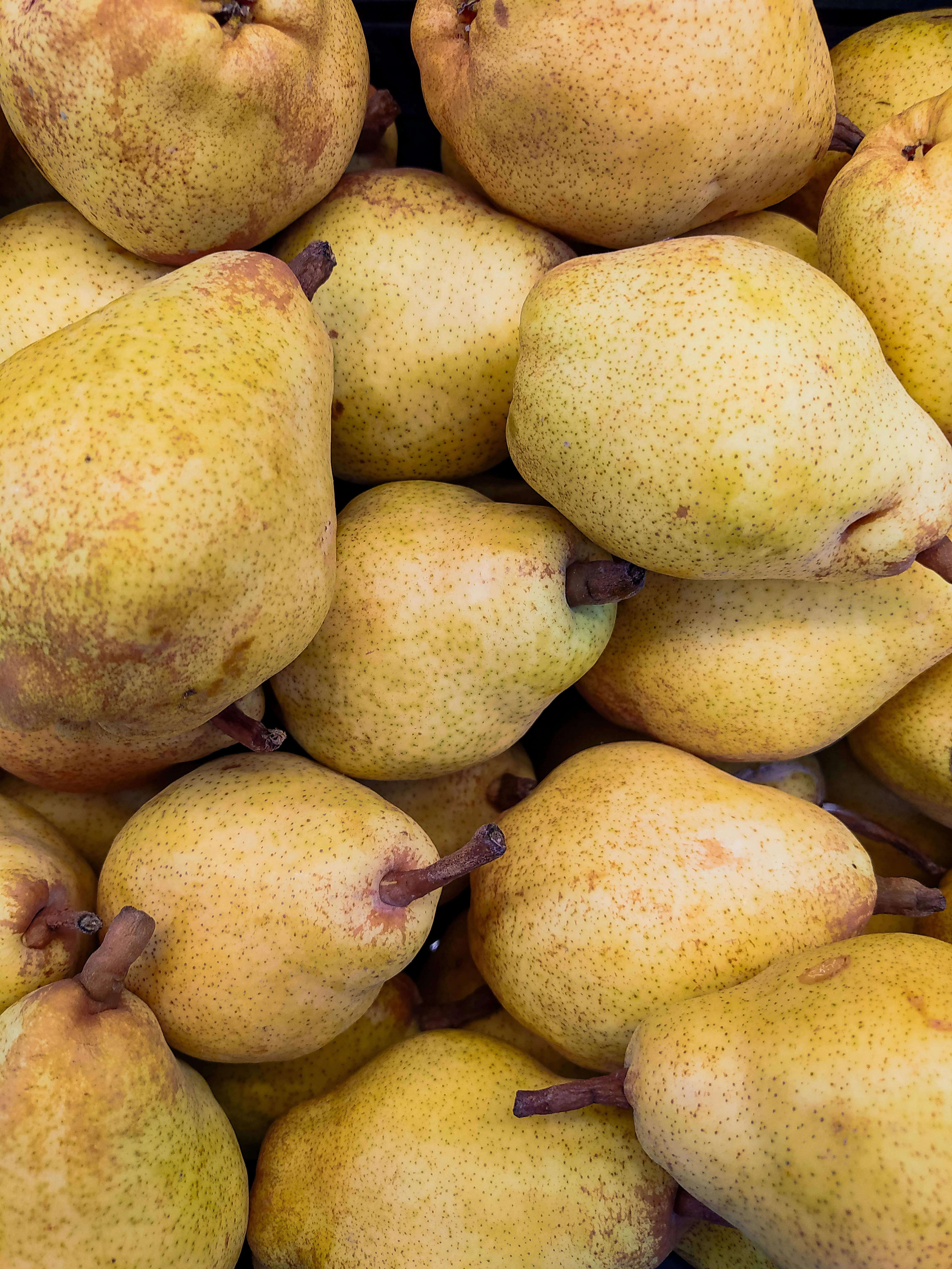 Keseimbangan Nutrisi dalam Genggaman: Memahami Porsi Ideal Konsumsi Buah Pir Harian