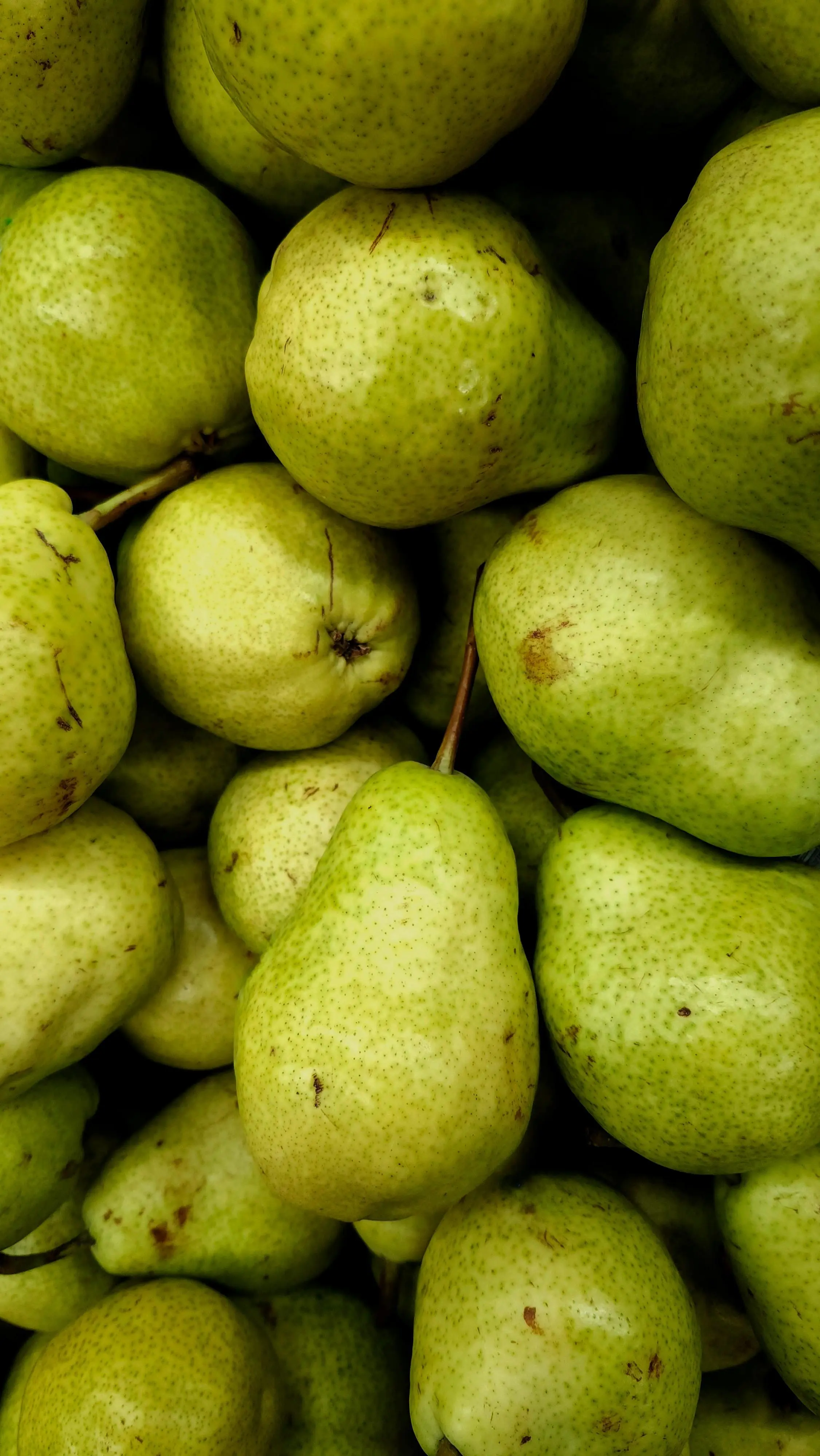 Nutrisi dari Alam: Membedah Keajaiban Buah Pir untuk Kecantikan Kulit Anda