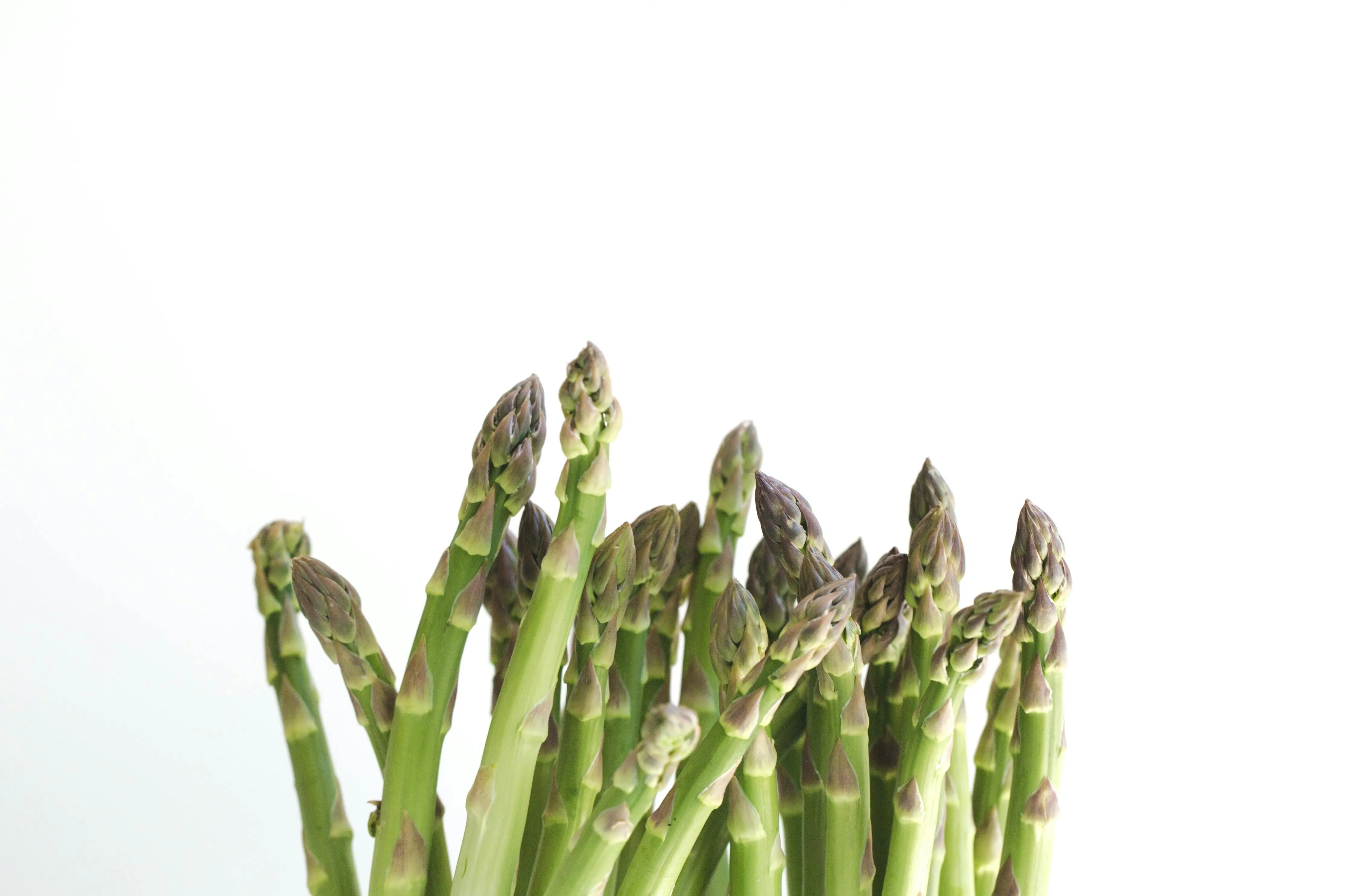 Hijau dan Rendah Karbo: Membedah Peran Asparagus dalam Diet Keto