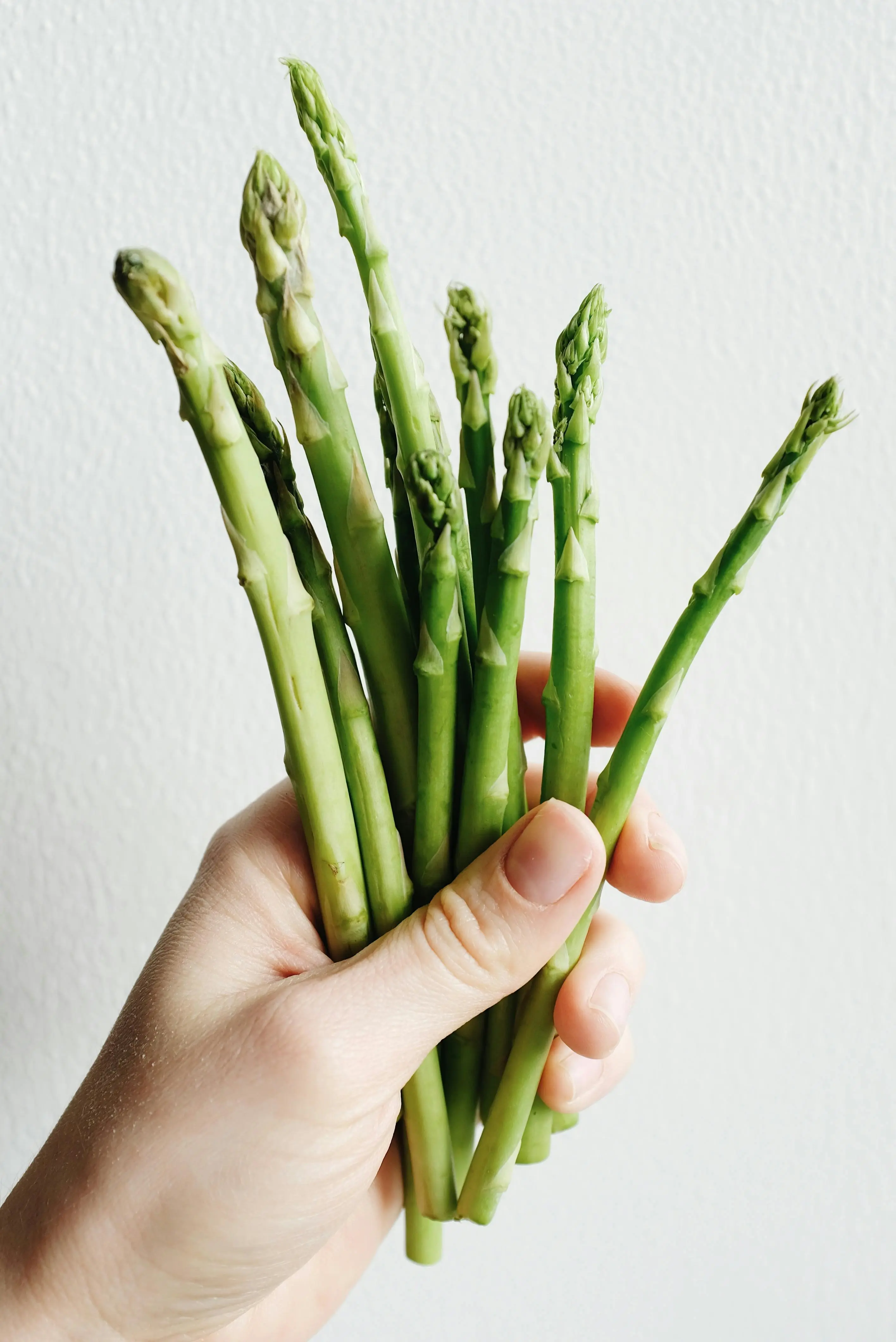 Nutrisi Hijau untuk Buah Hati: Membedah Manfaat Asparagus dalam Diet Ibu Hamil