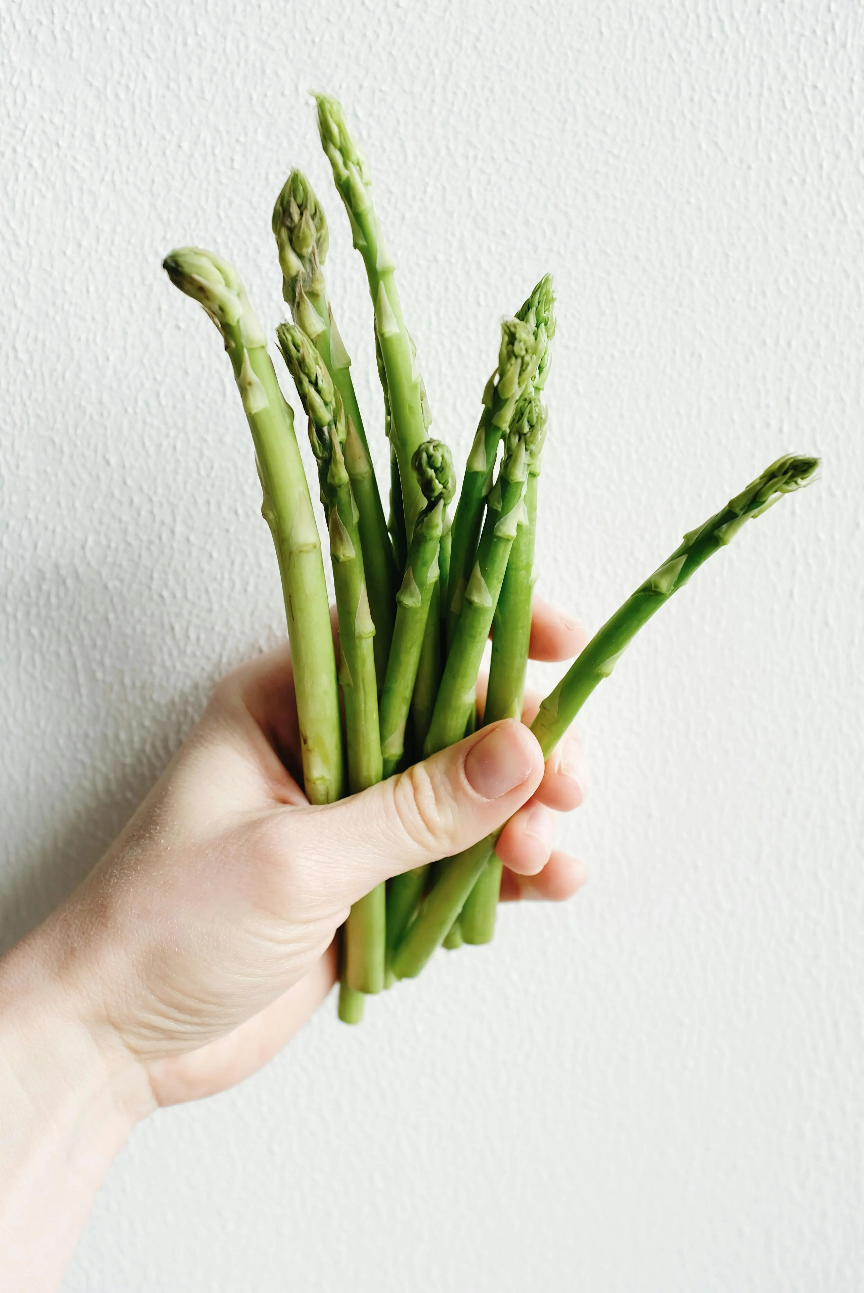 Nutrisi Hijau Penjaga Jantung: Peran Vital Asparagus bagi Kesehatan Lansia
