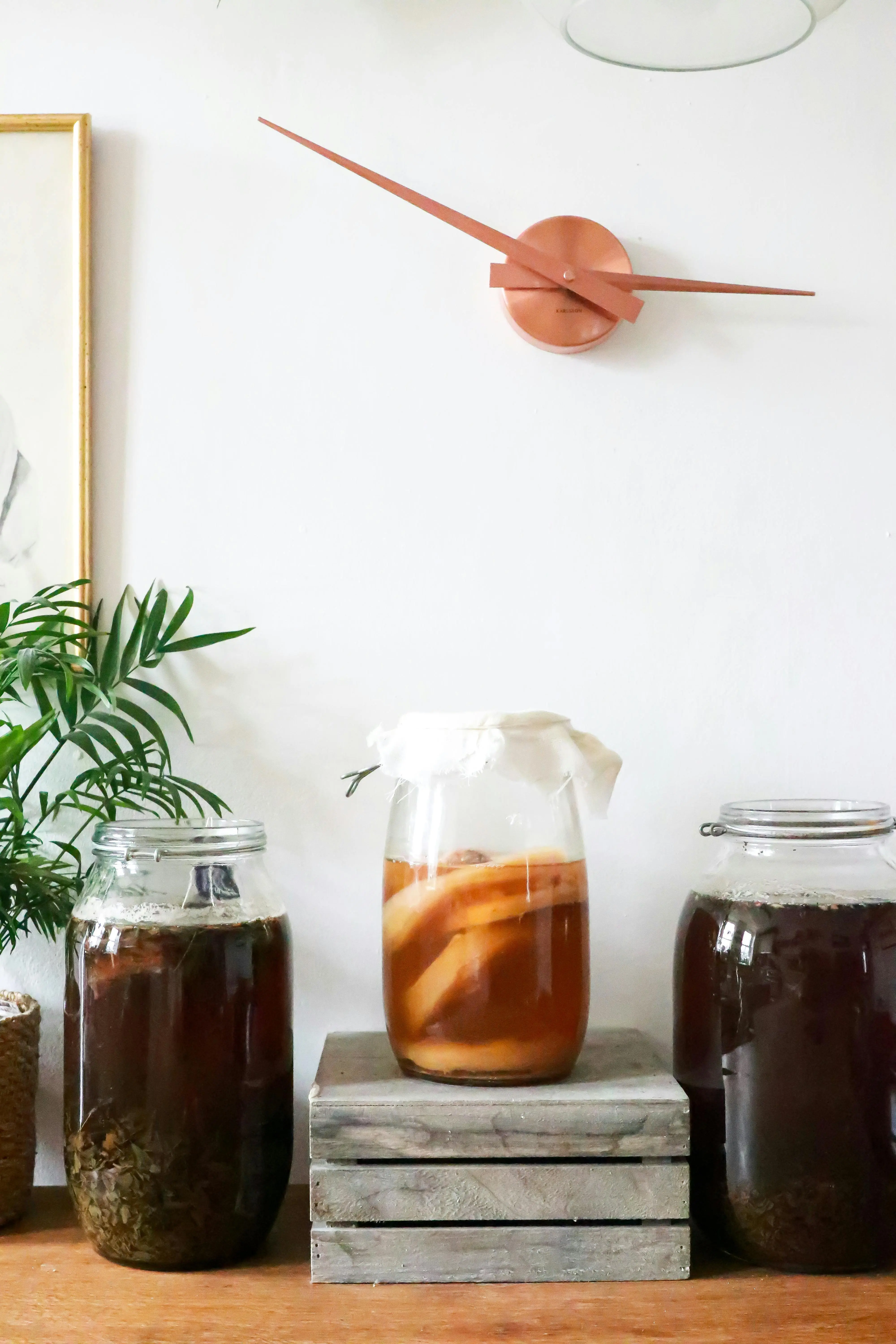 Kesegaran yang Menyehatkan: Menelusuri Manfaat Kombucha bagi Tubuh