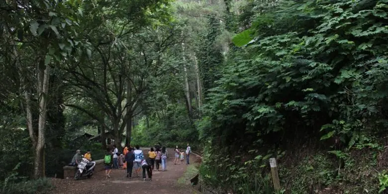 Wisata Low Budget di Jawa Barat: 5 Destinasi Alam Tersembunyi untuk Healing Sebelum Kerja