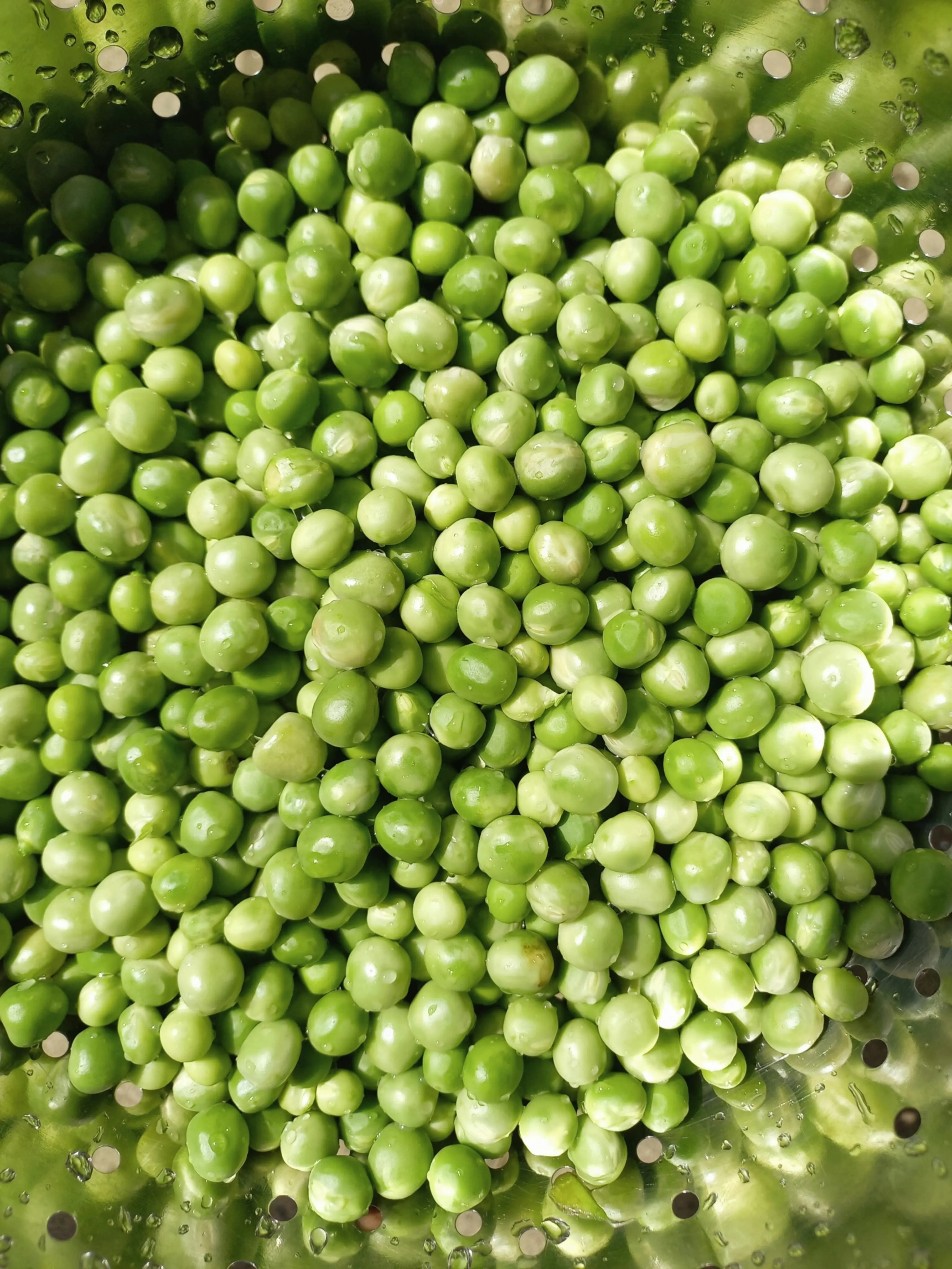 Amankah Mengonsumsi Kacang Polong Setiap Hari? Menimbang Nutrisi dan Dampaknya bagi Tubuh