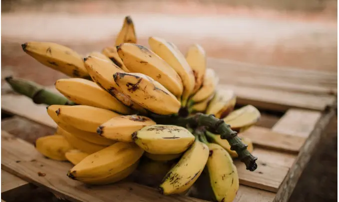 Stop Gorengan Berlebih! Coba 5 Camilan Murah Ini Agar Buka Puasa Lebih Berenergi