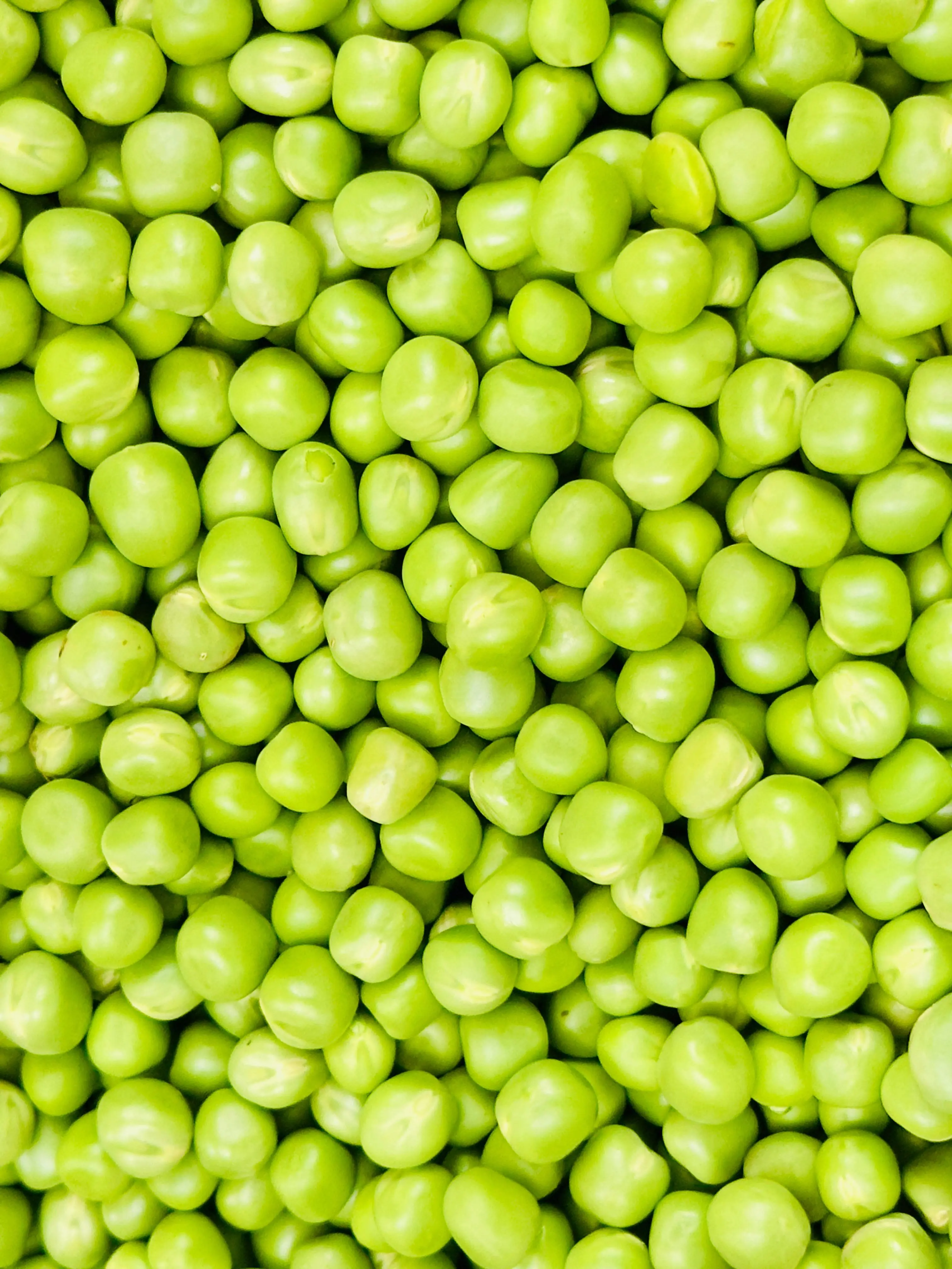Kacang Polong sebagai Makanan Anti-Inflamasi: Kekuatan Tersembunyi di Balik Butiran Hijau