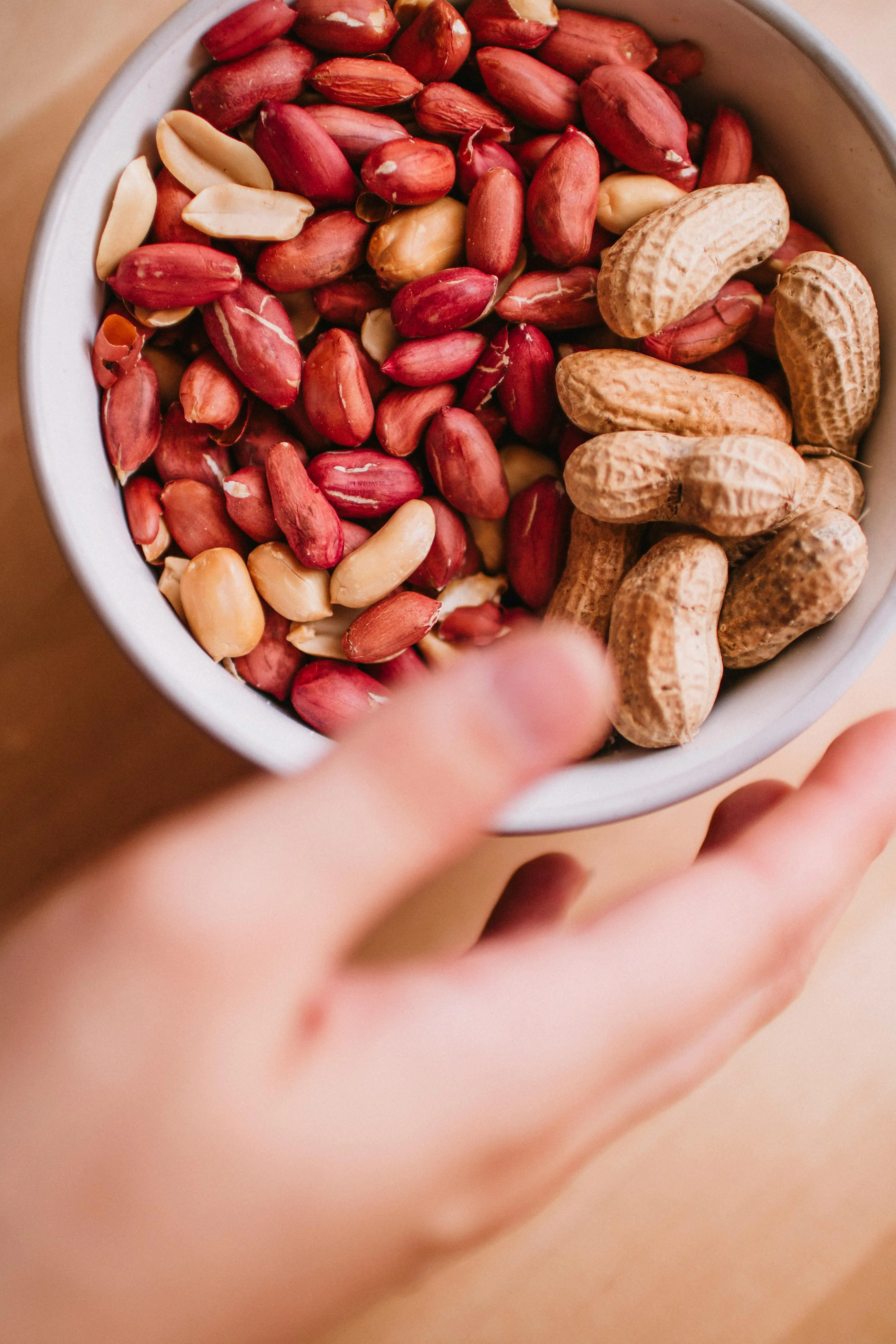 Kacang Tanah sebagai Sumber Protein Nabati: Rahasia Nutrisi di Balik Kesederhanaannya