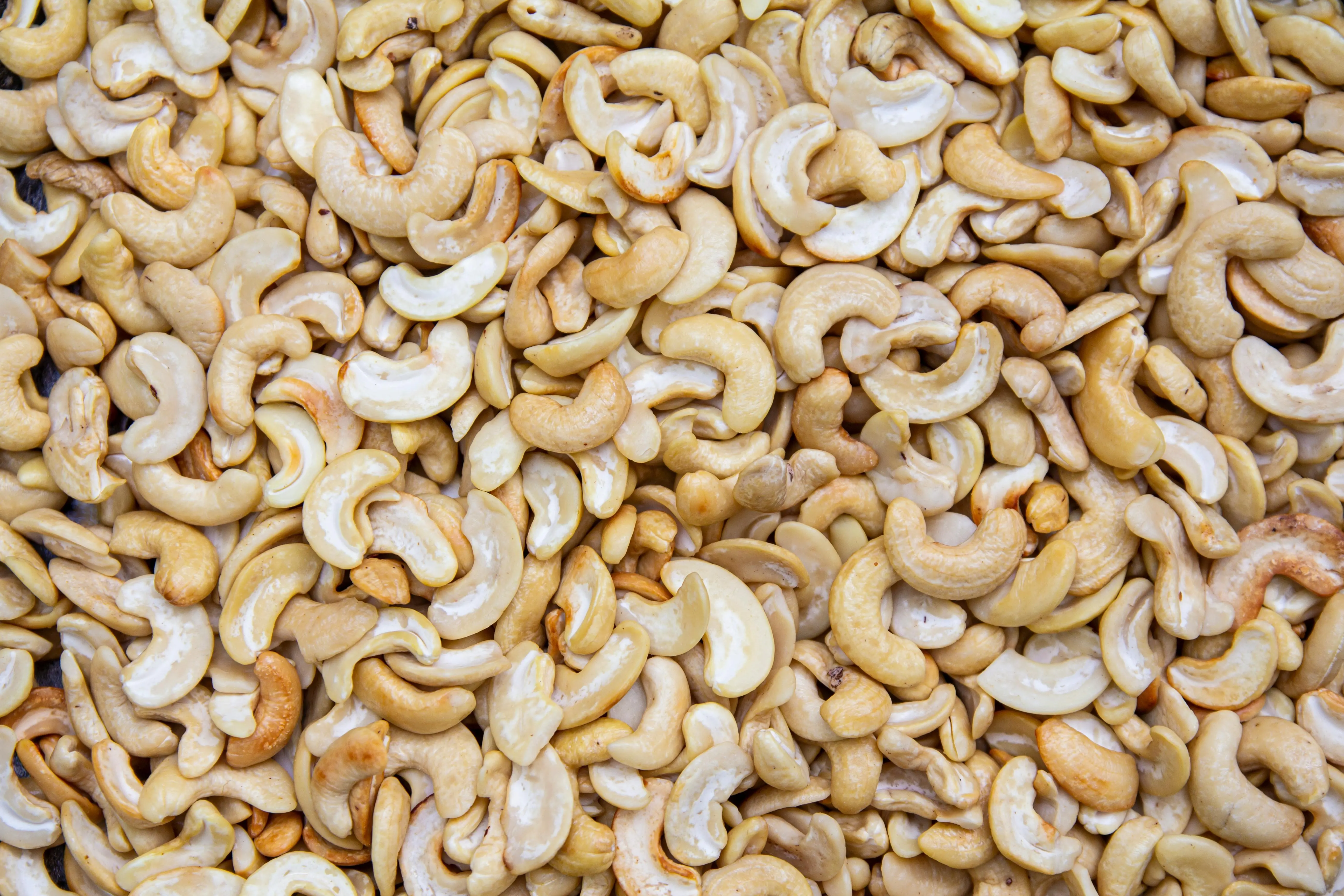 Apakah Kacang Mede Bisa Diolah Jadi Obat Herbal? Menelusuri Jejak Sains dalam Etnofarmakologi