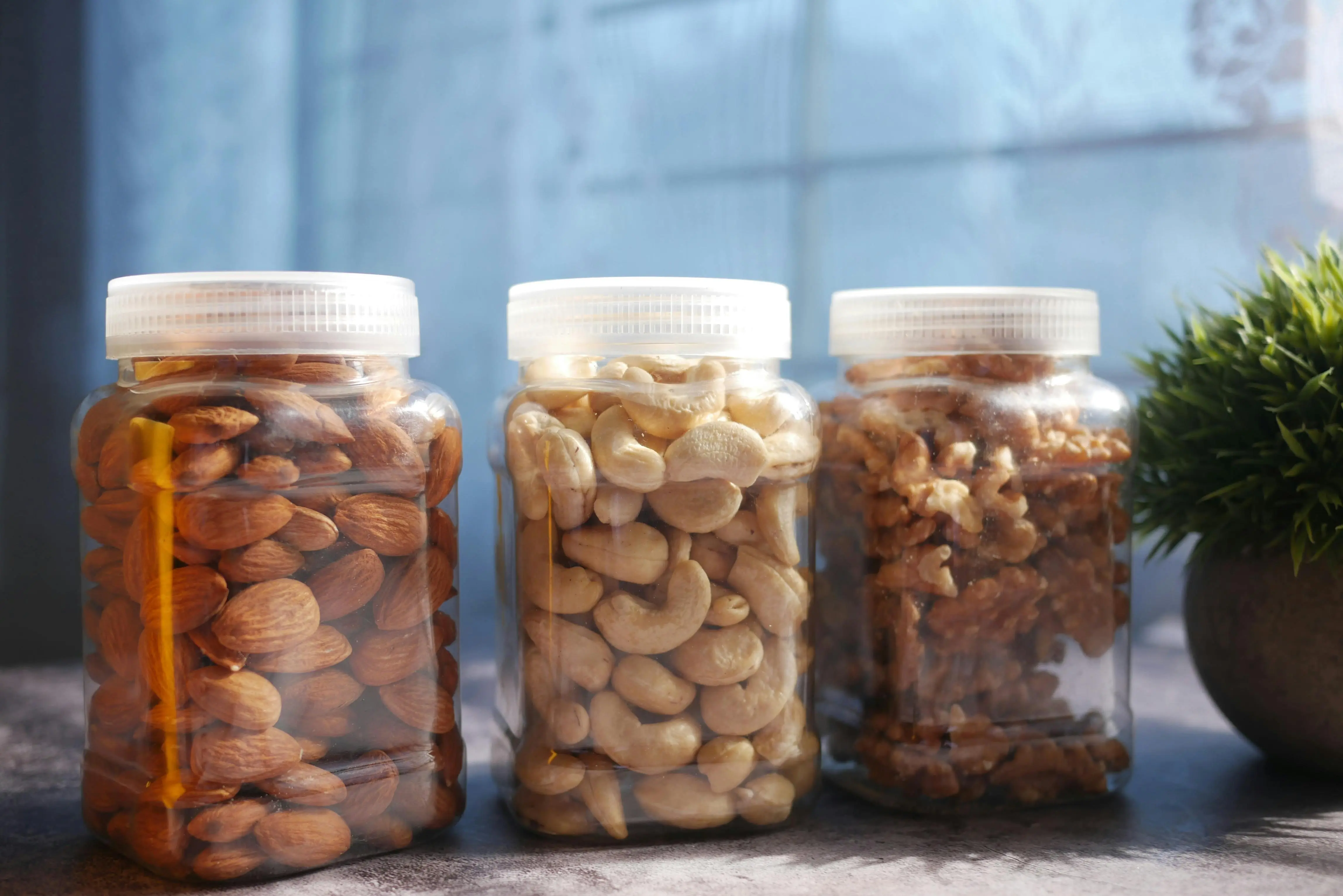 Tips Menjaga Kualitas Kacang Mede: Hindari Kesalahan Simpan yang Merusak Rasa