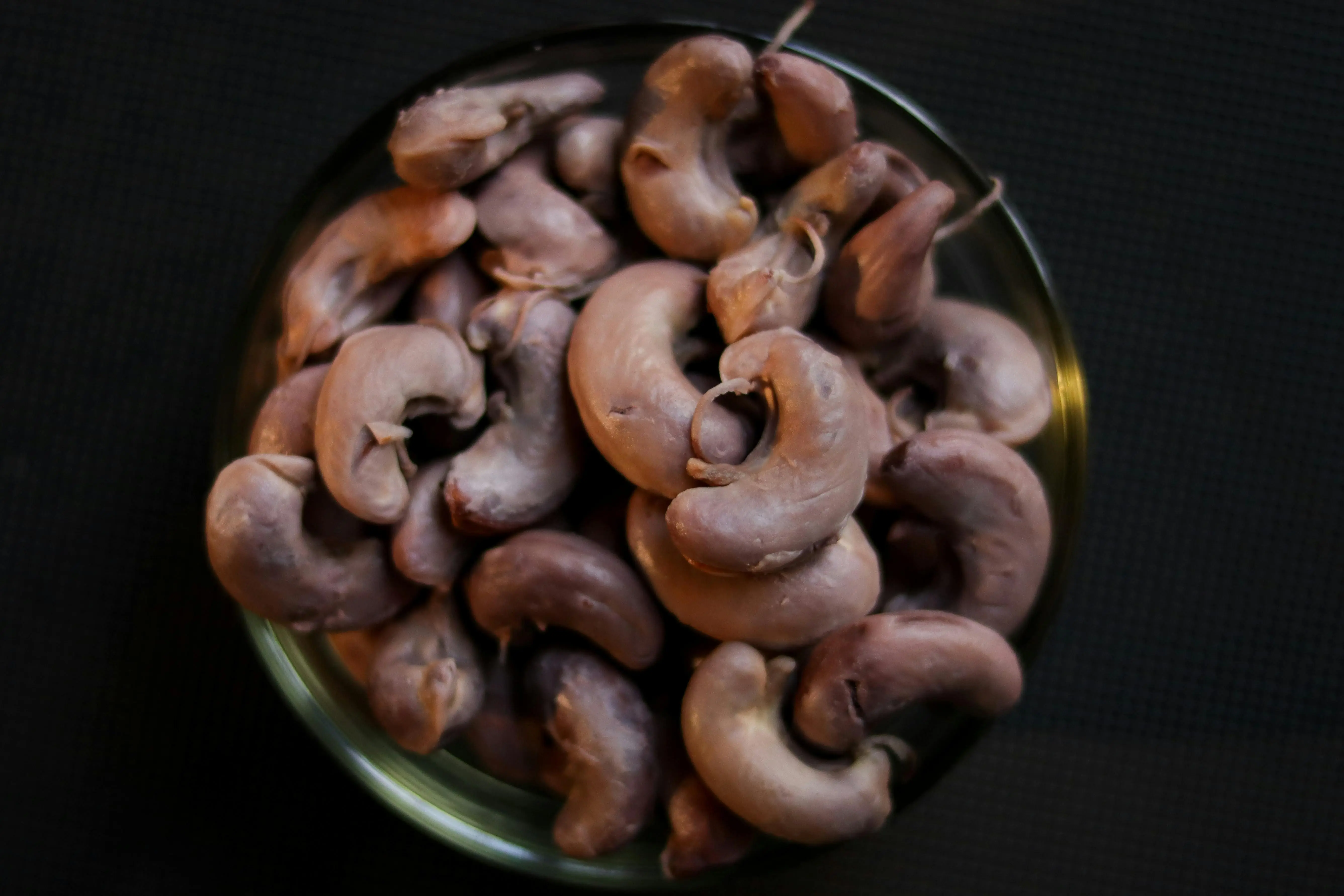 Mengapa Kulit Kacang Mede Tidak Boleh Dimakan? Mengenal Ancaman Urushiol di Balik Gurihnya Biji Mede