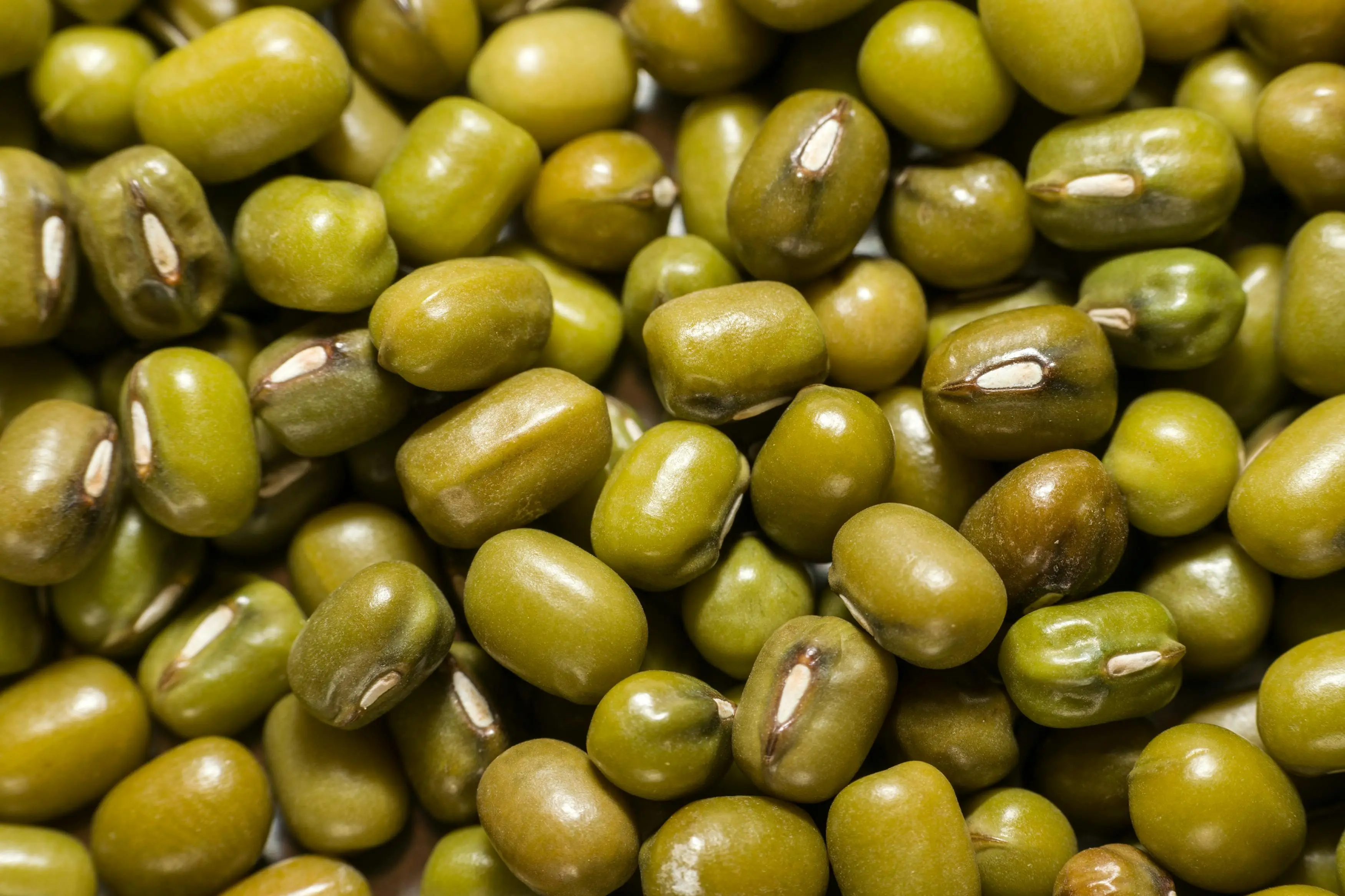 Kacang Hijau dalam Pola Makan Plant-Based: Kekuatan Nutrisi yang Tersembunyi di Balik Ukuran Kecil