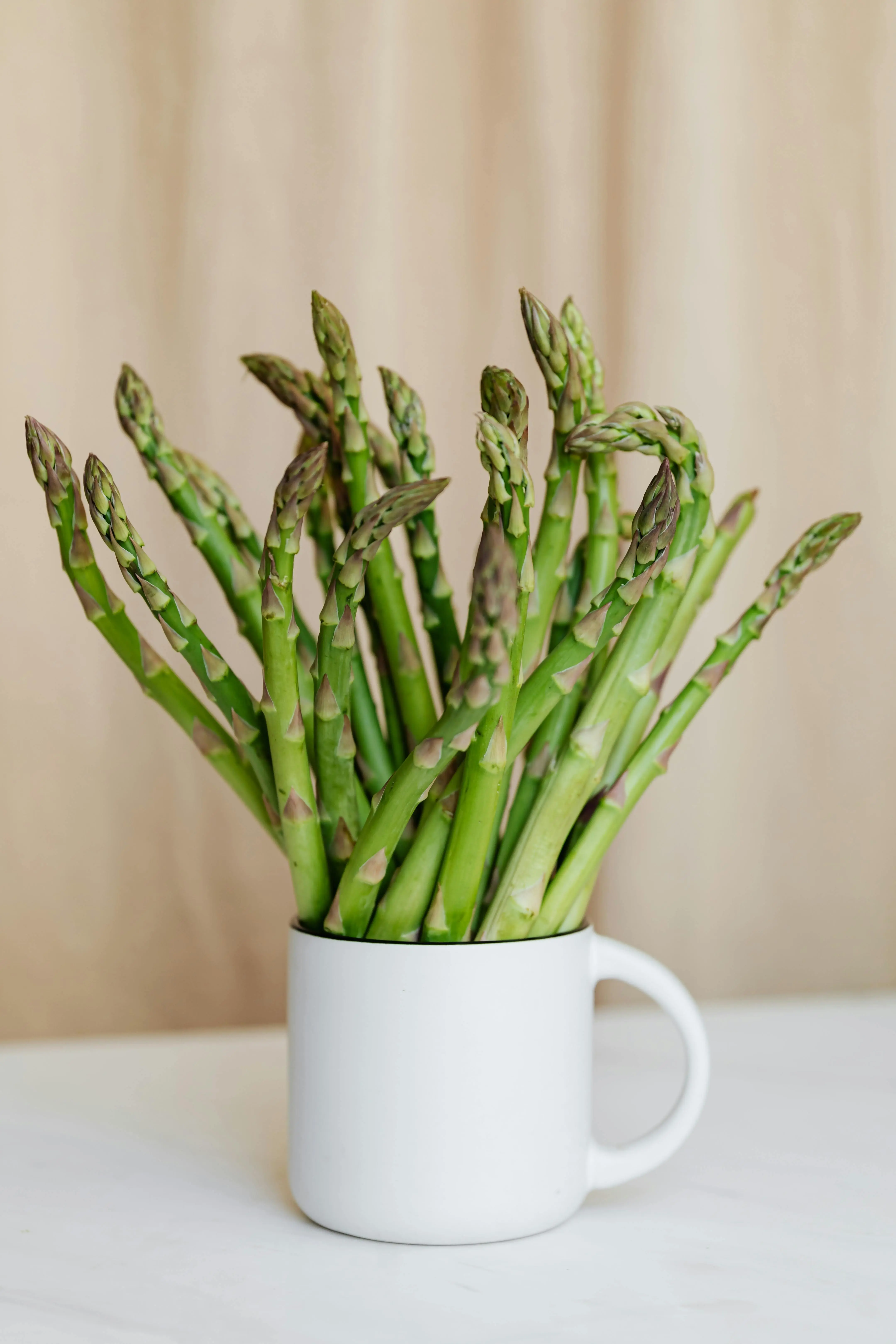 Peran Asparagus dalam Mencegah Penyakit Kronis: Menilik Nutrisi di Balik Sayuran Elit
